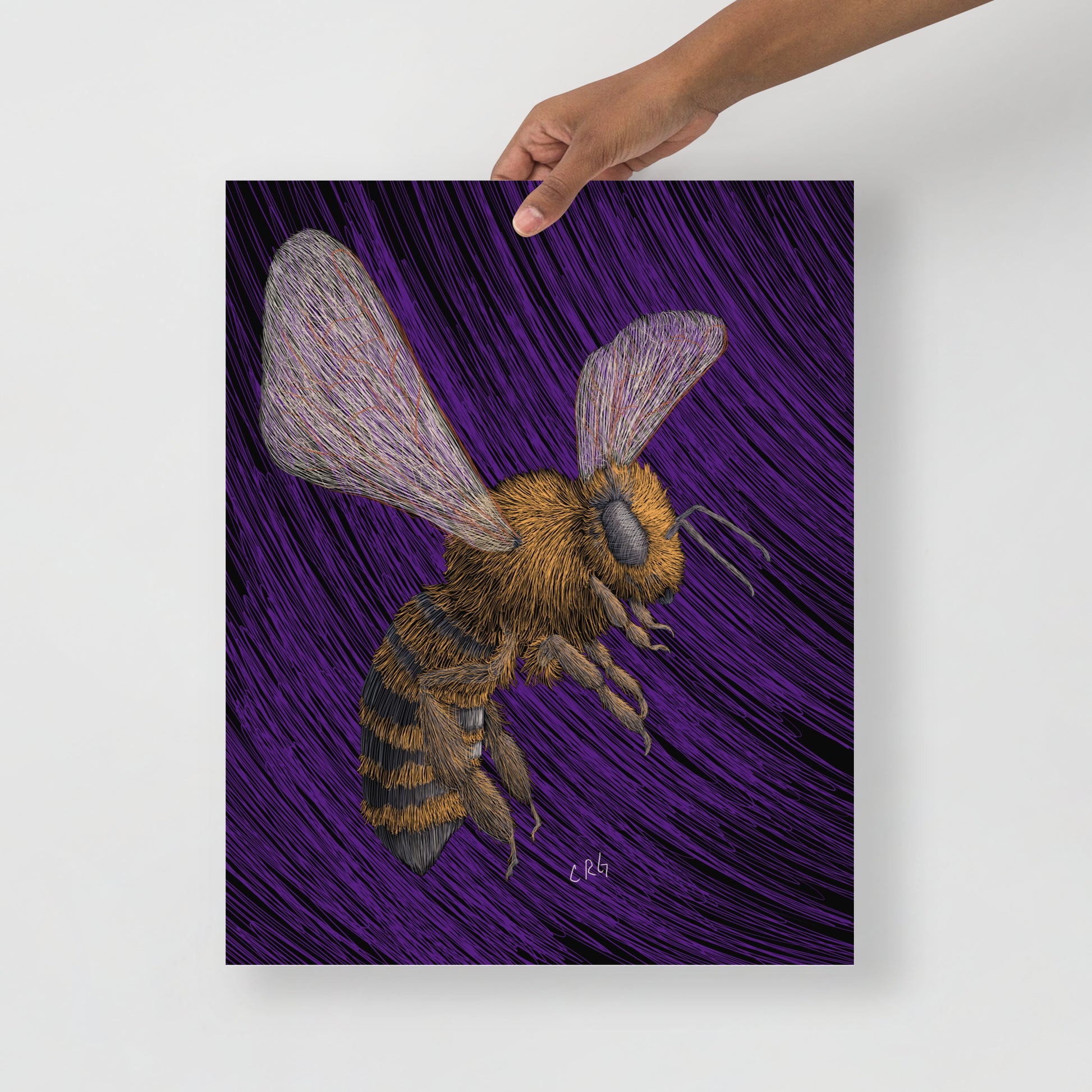 Honeybee Art Print