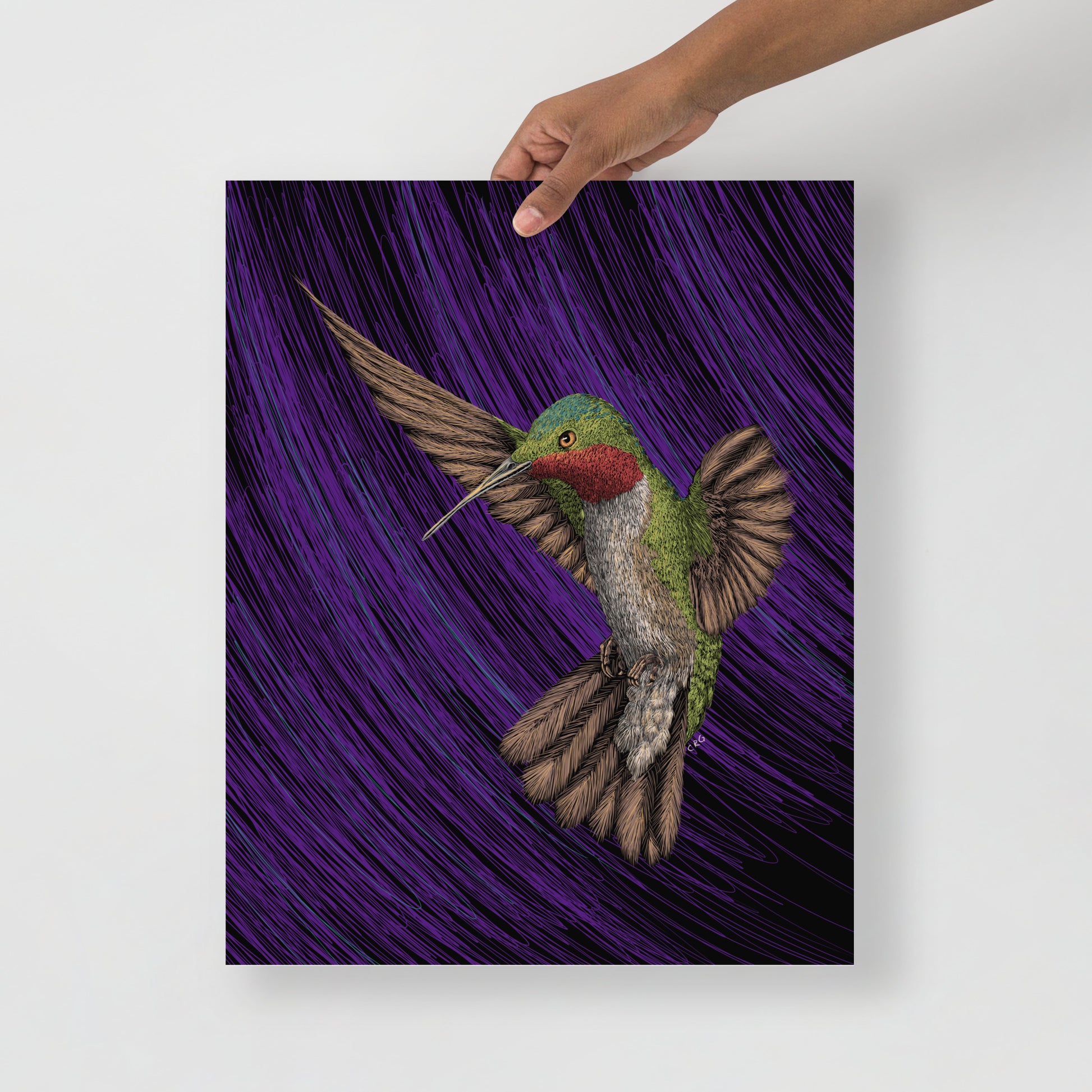 Hummingbird Art Print