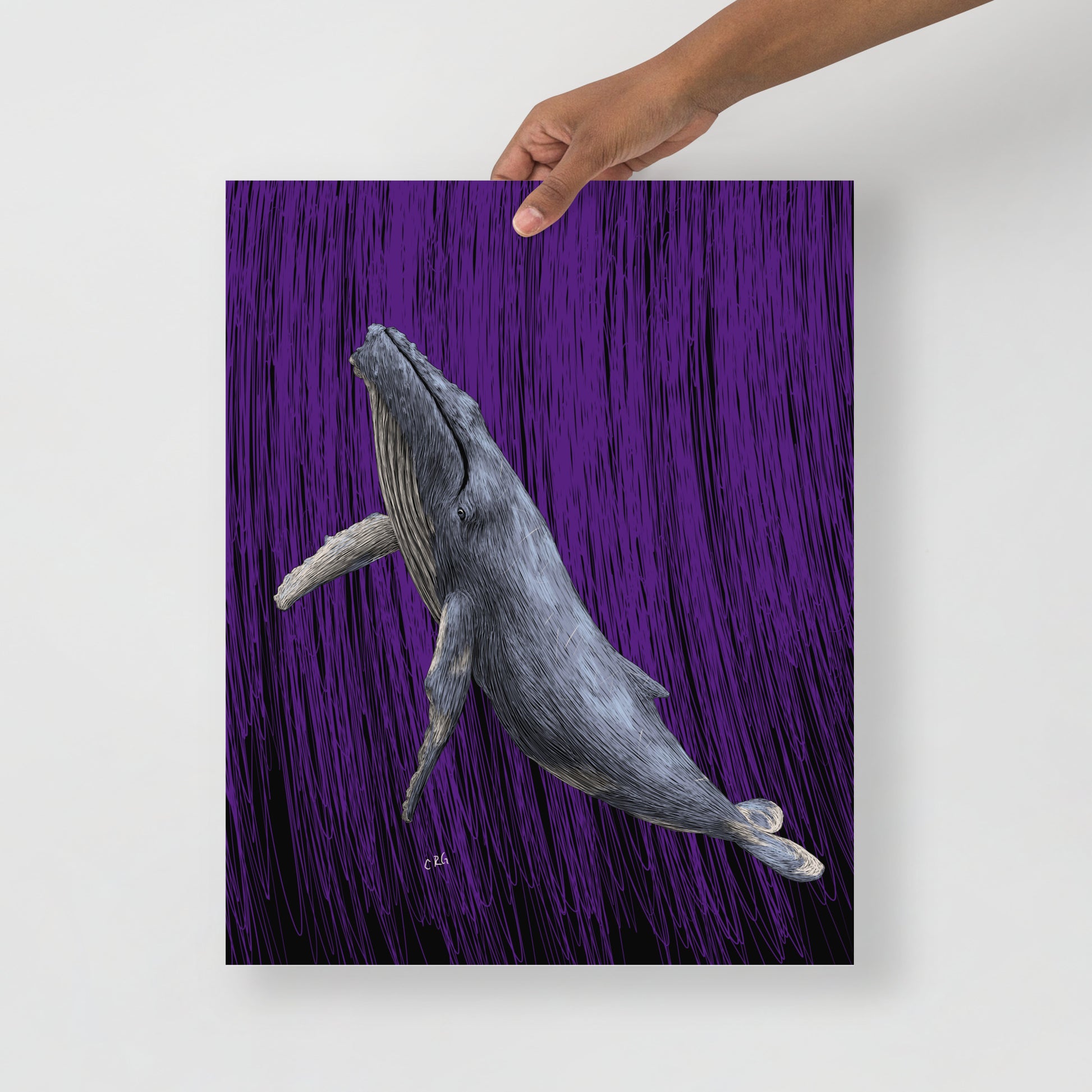 Whale Art Print