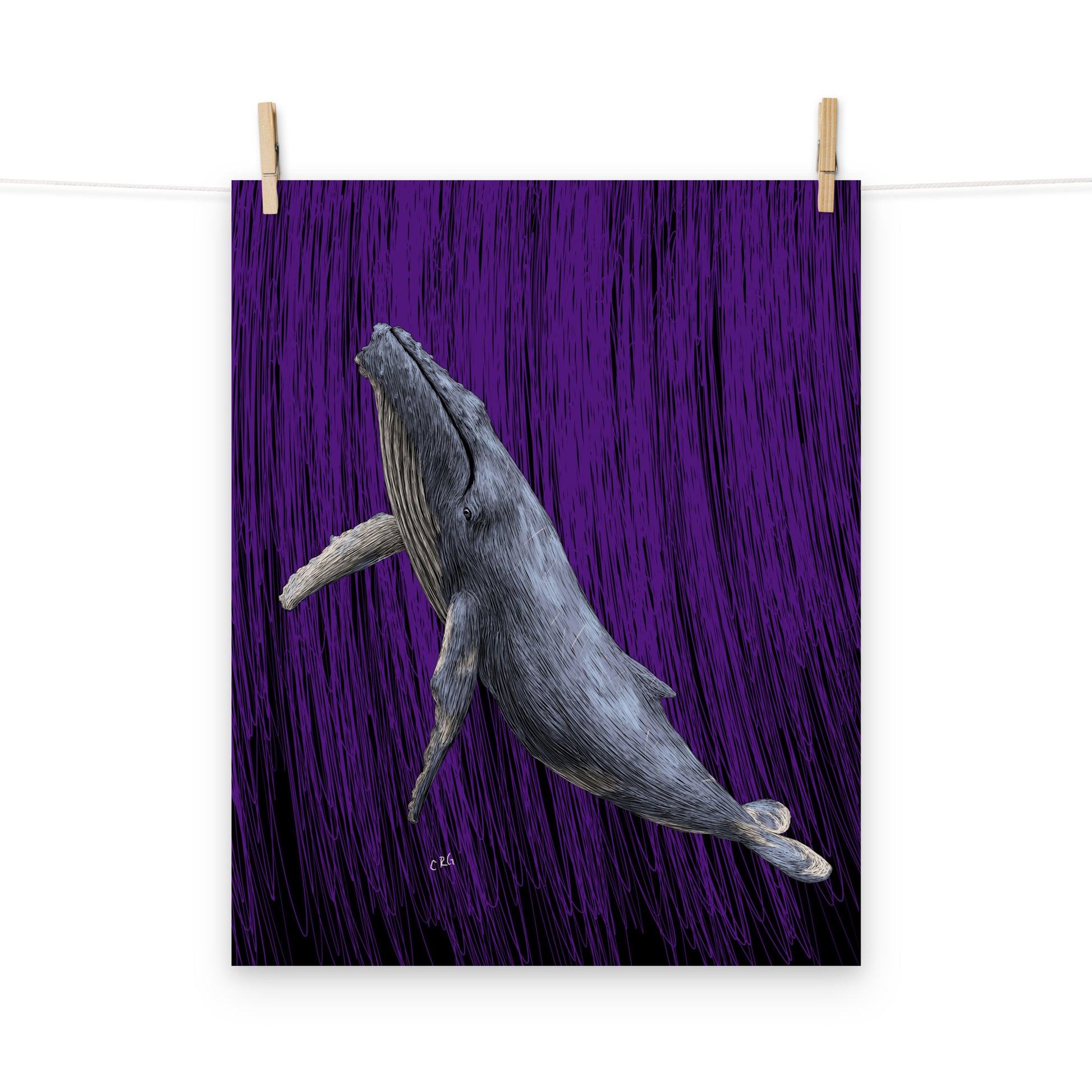 Whale Art Print