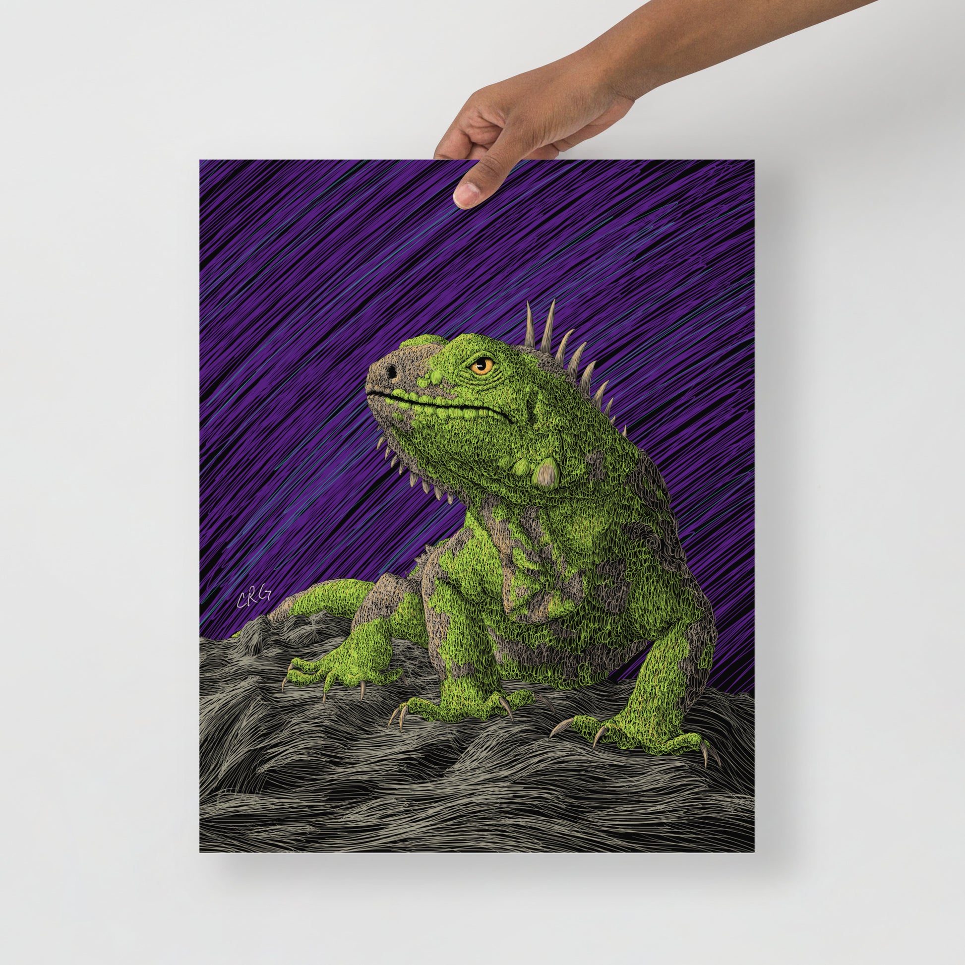 Iguana Art Print
