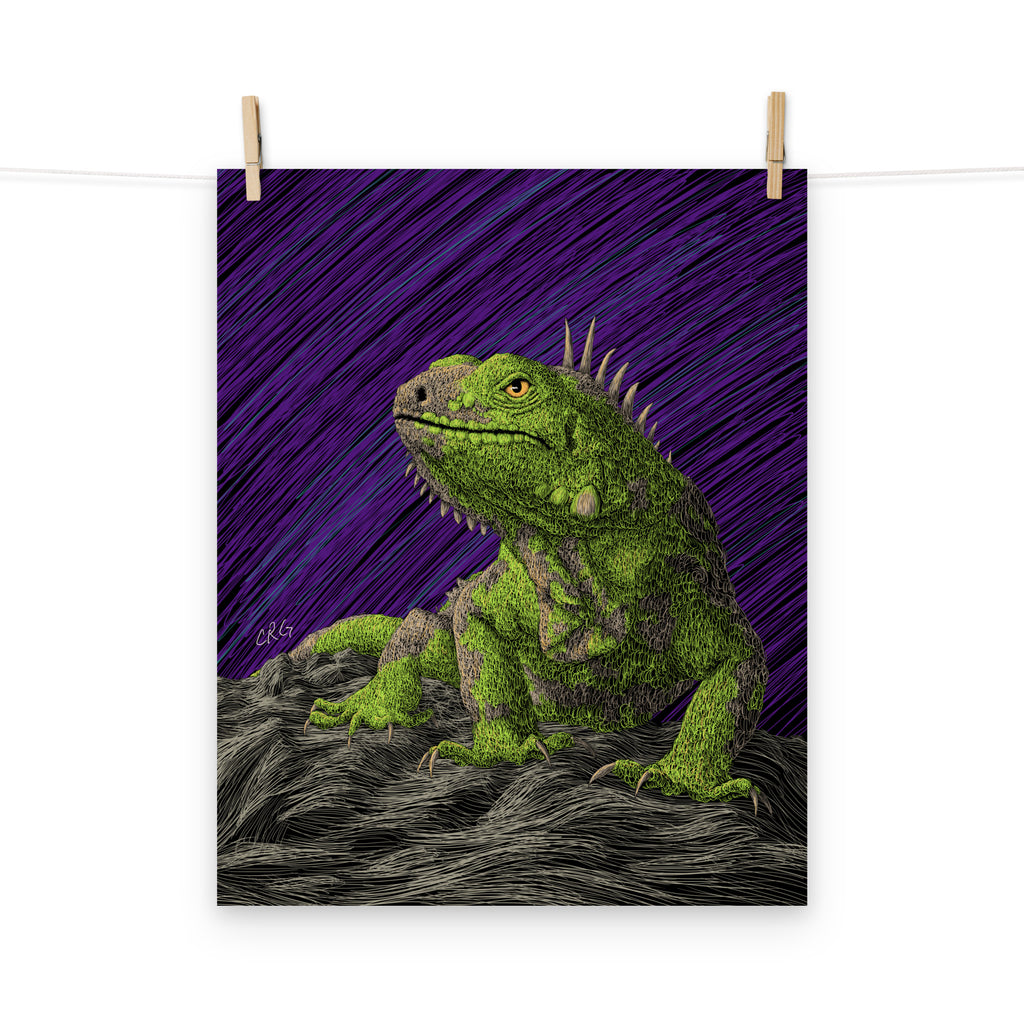 Iguana Art Print