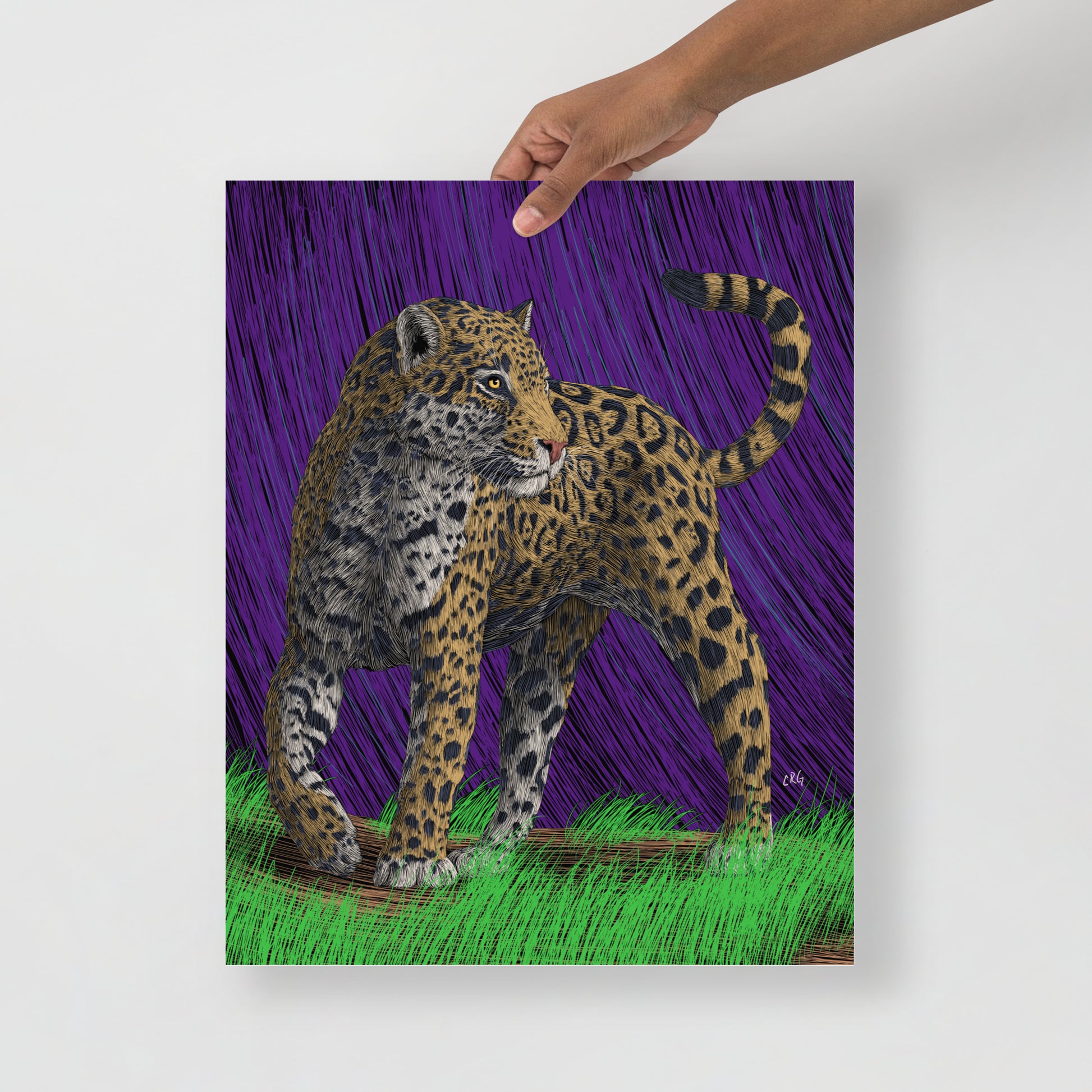 Jaguar Art Print