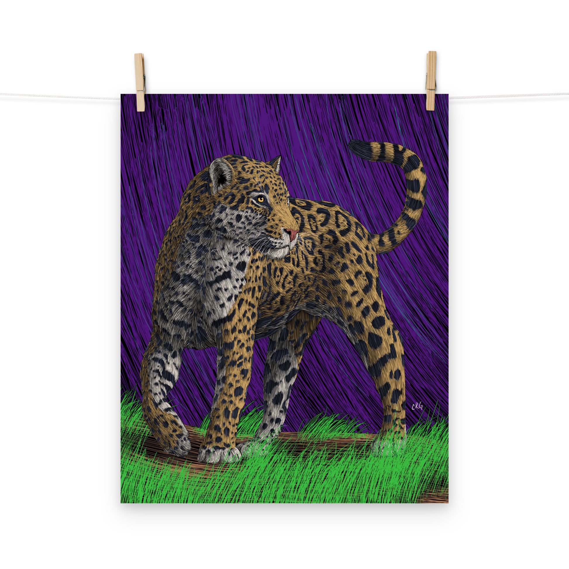 Jaguar Art Print