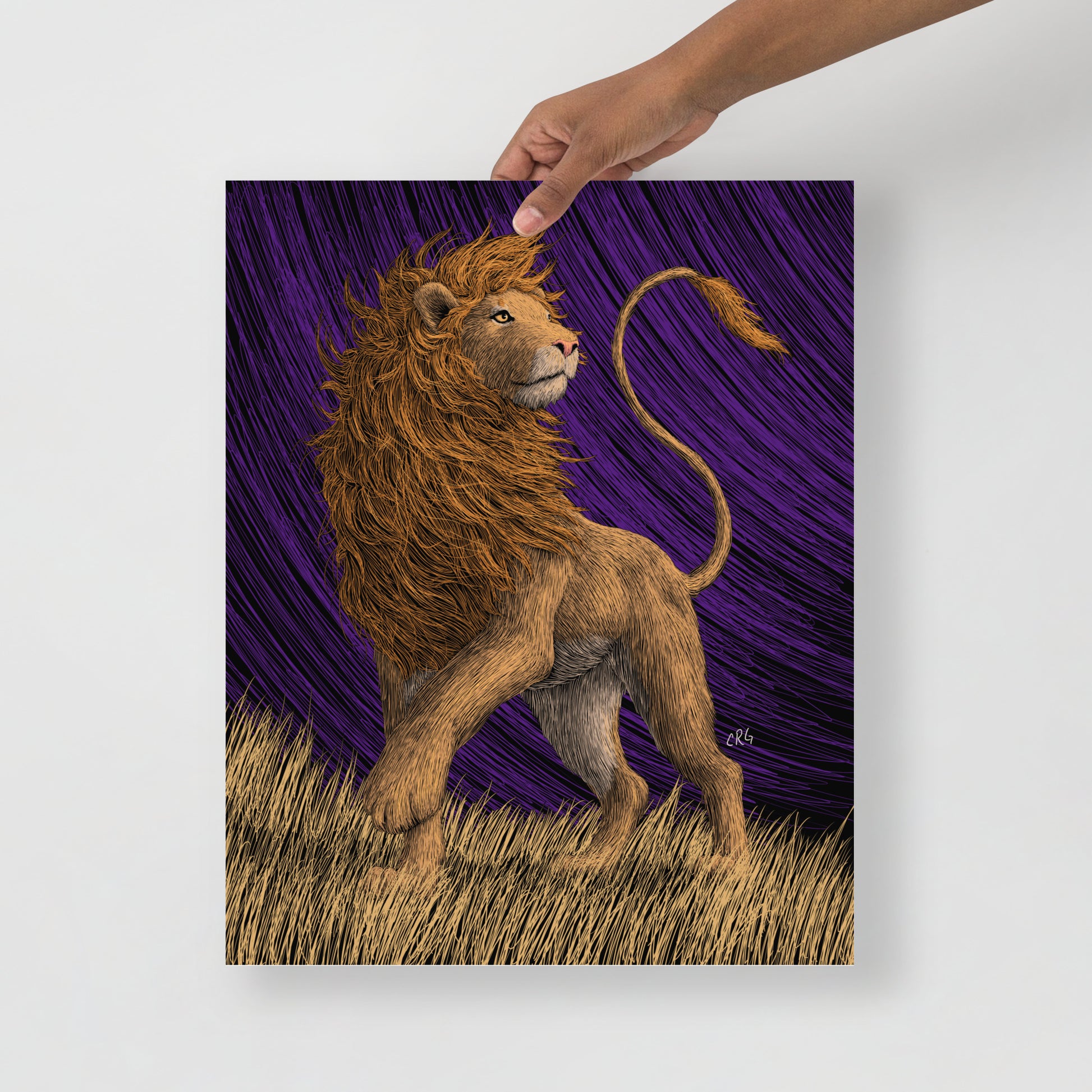 Lion Art Print