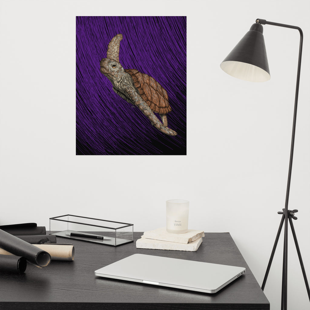 Turtle Art Print