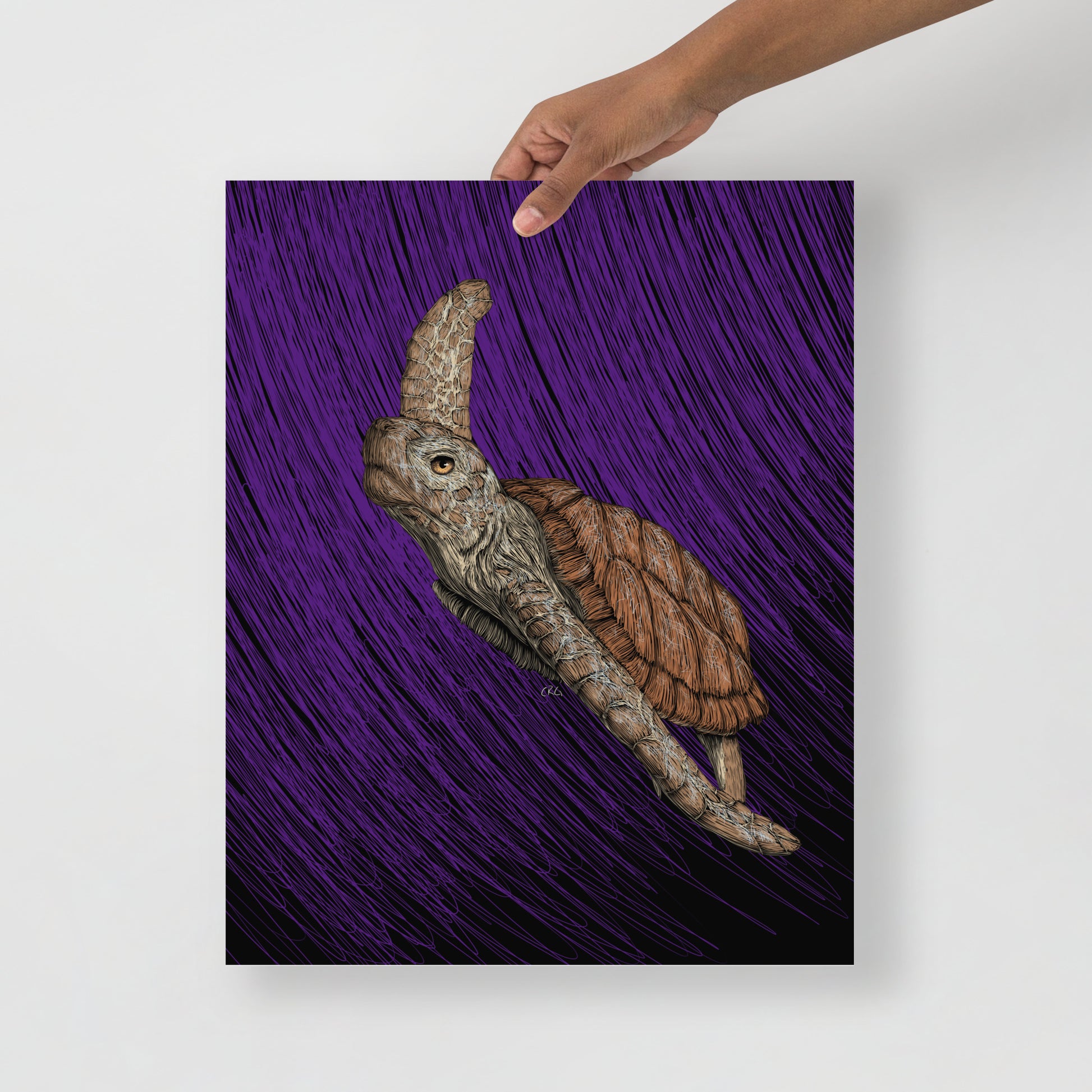 Turtle Art Print