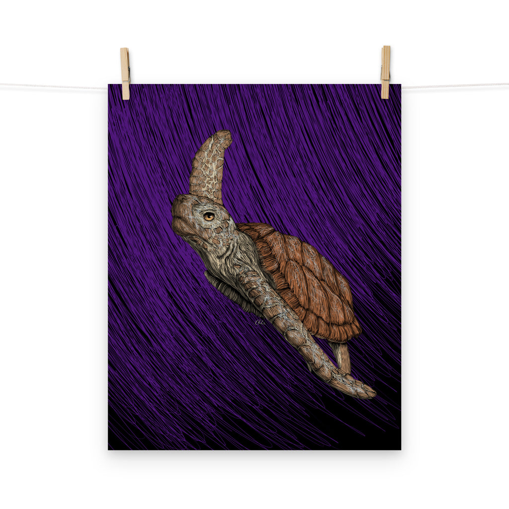 Turtle Art Print
