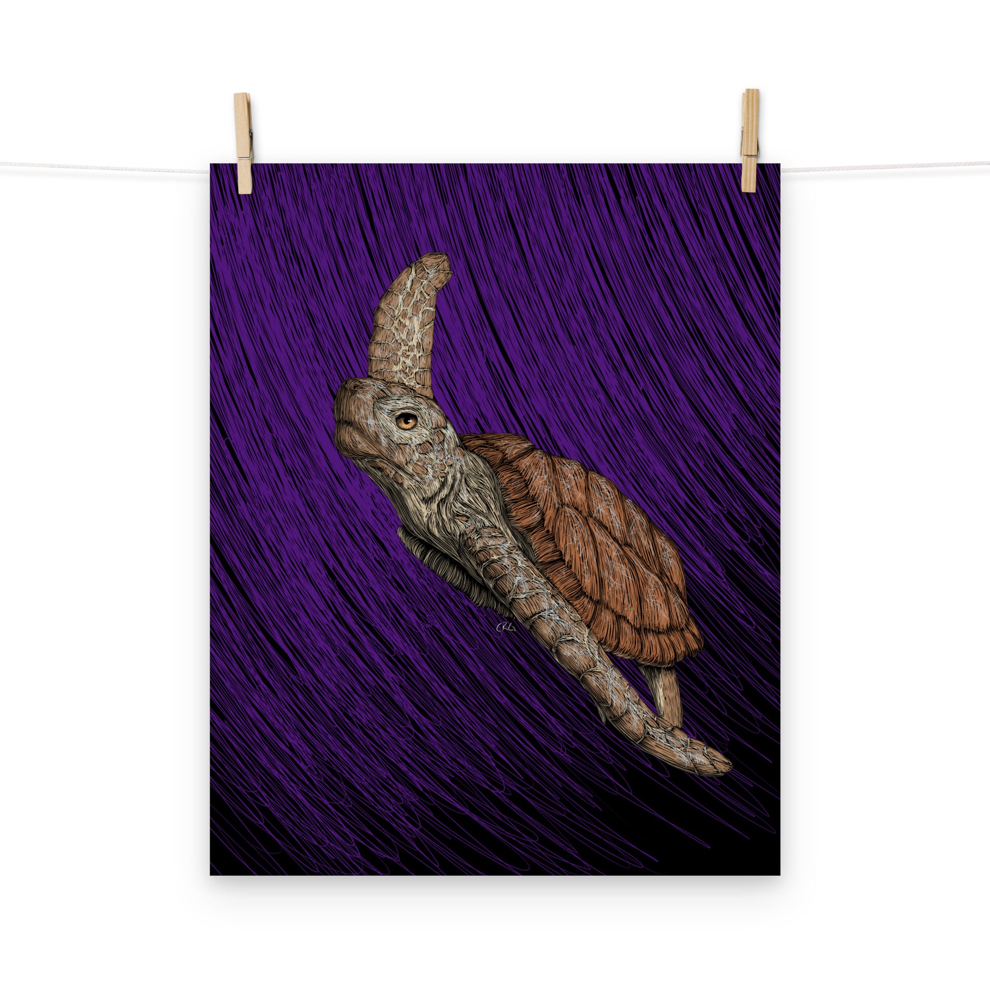 Turtle Art Print