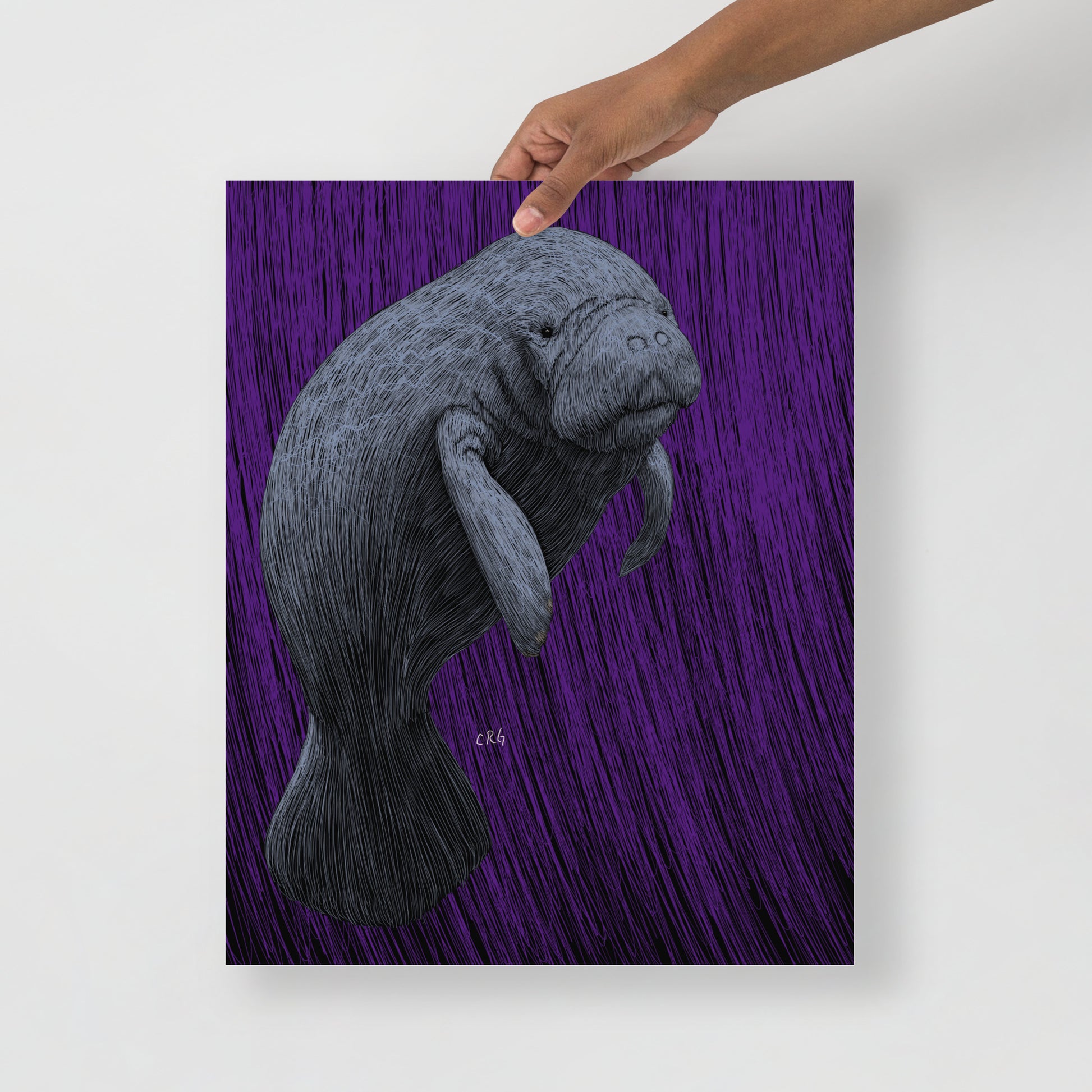Manatee Art Print