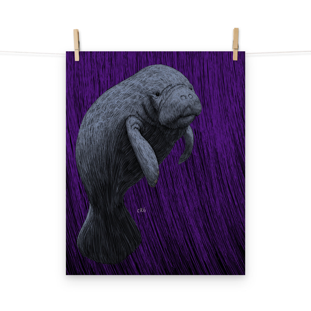 Manatee Art Print