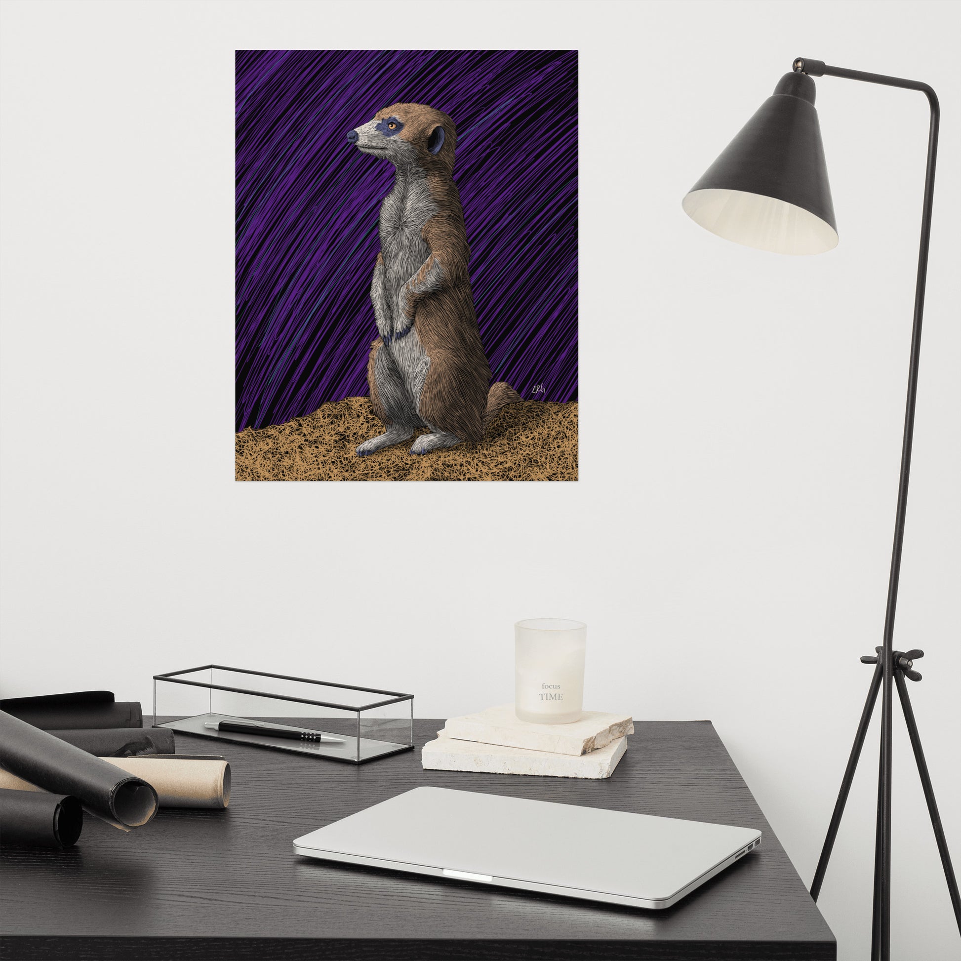 Meerkat Art Print