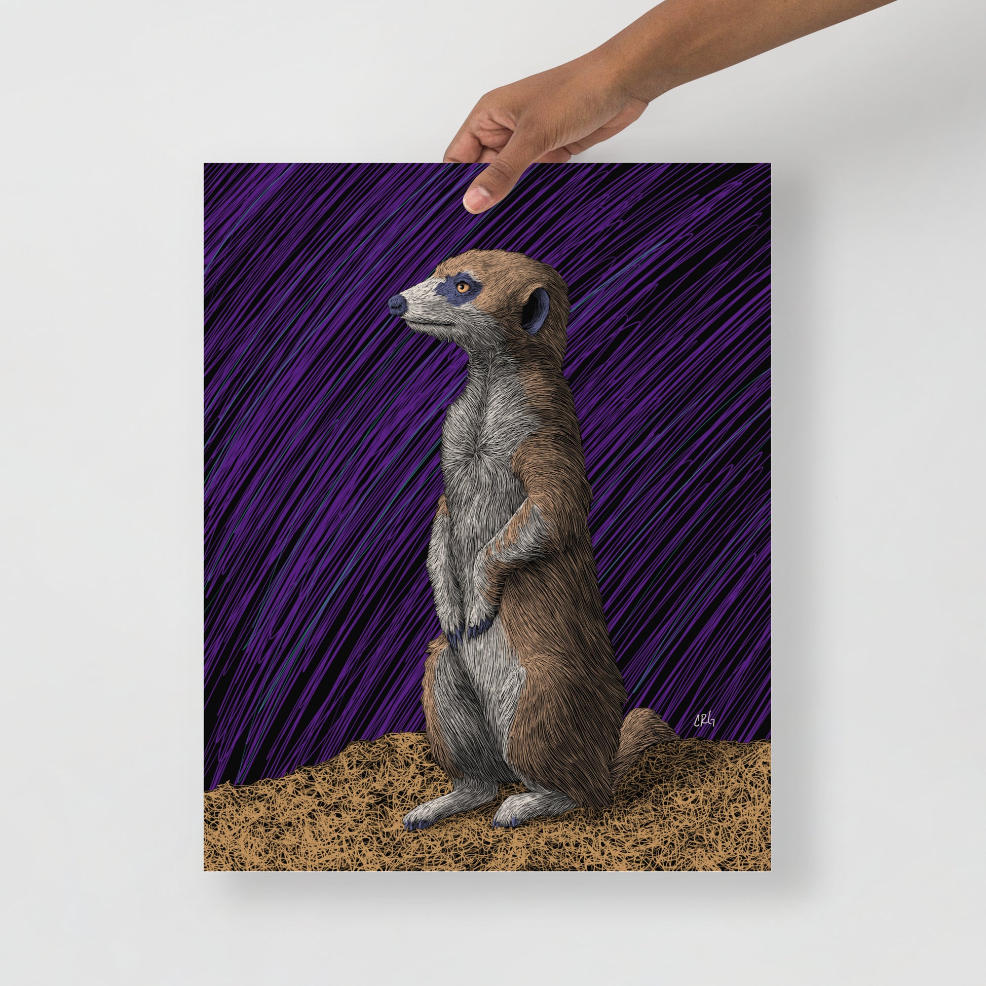 Meerkat Art Print