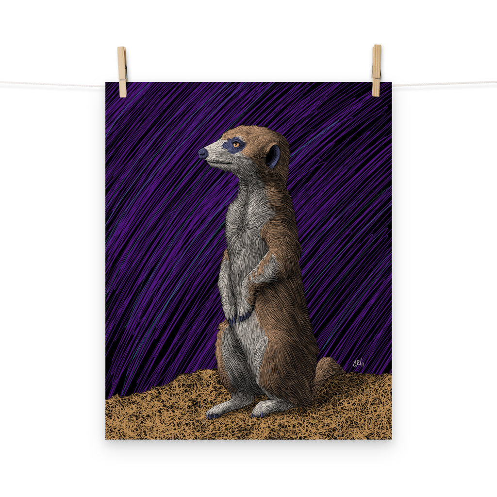Meerkat Art Print