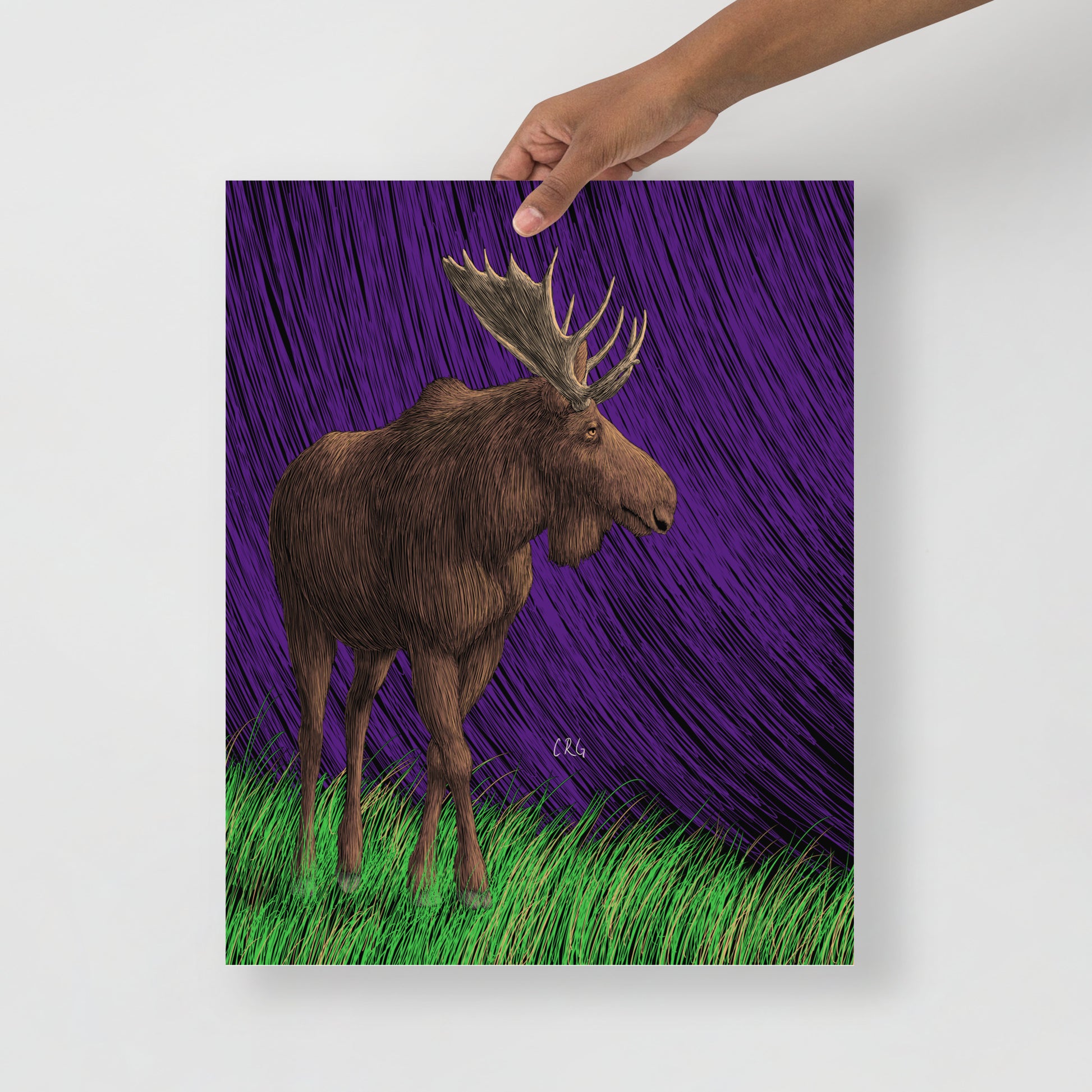 Moose Art Print