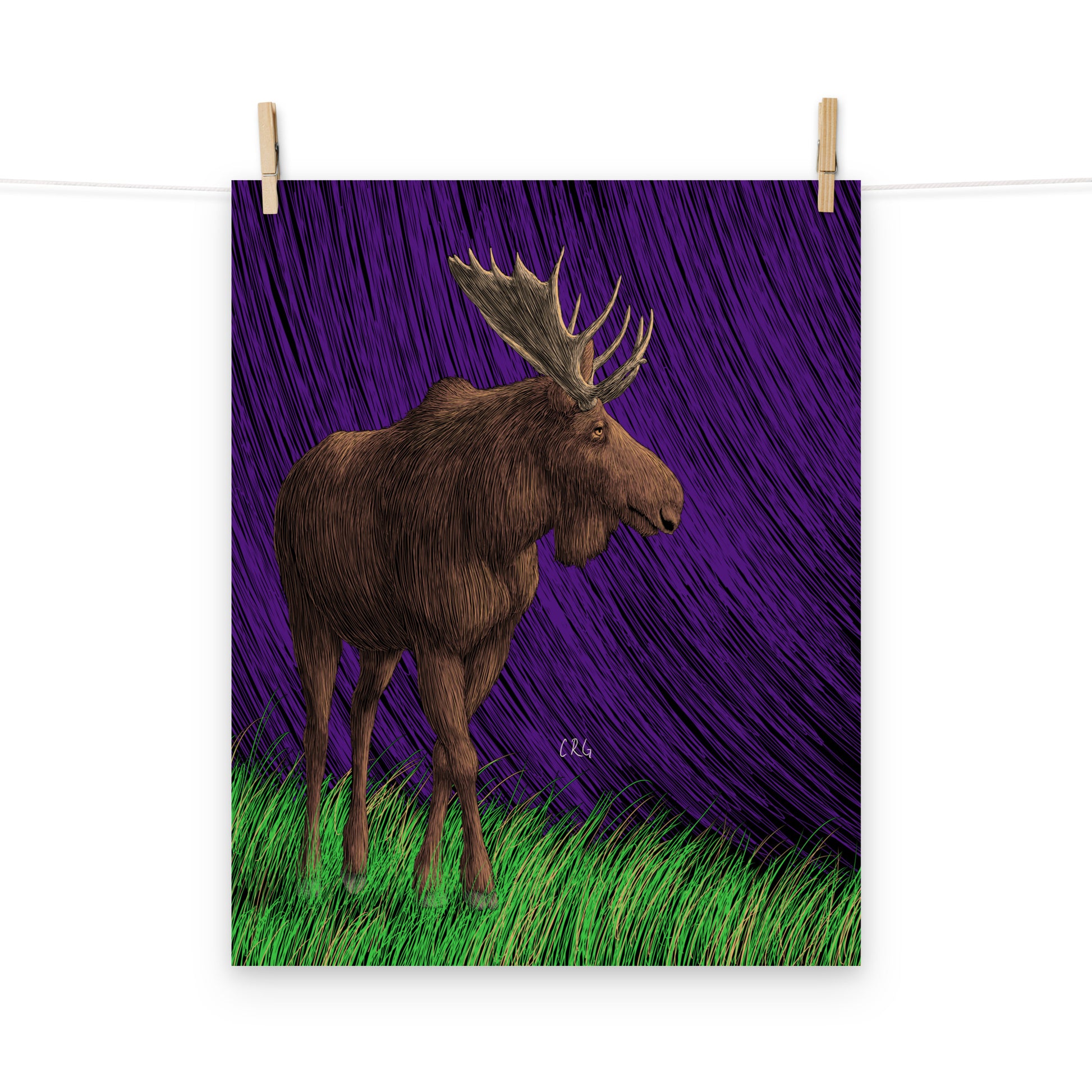 Moose Art Print