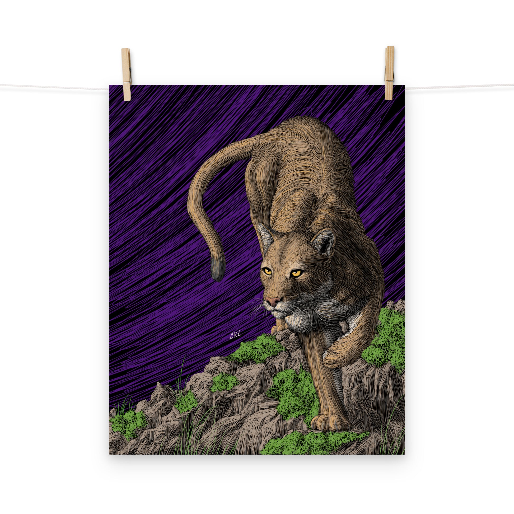 Mountain Lion Art Print