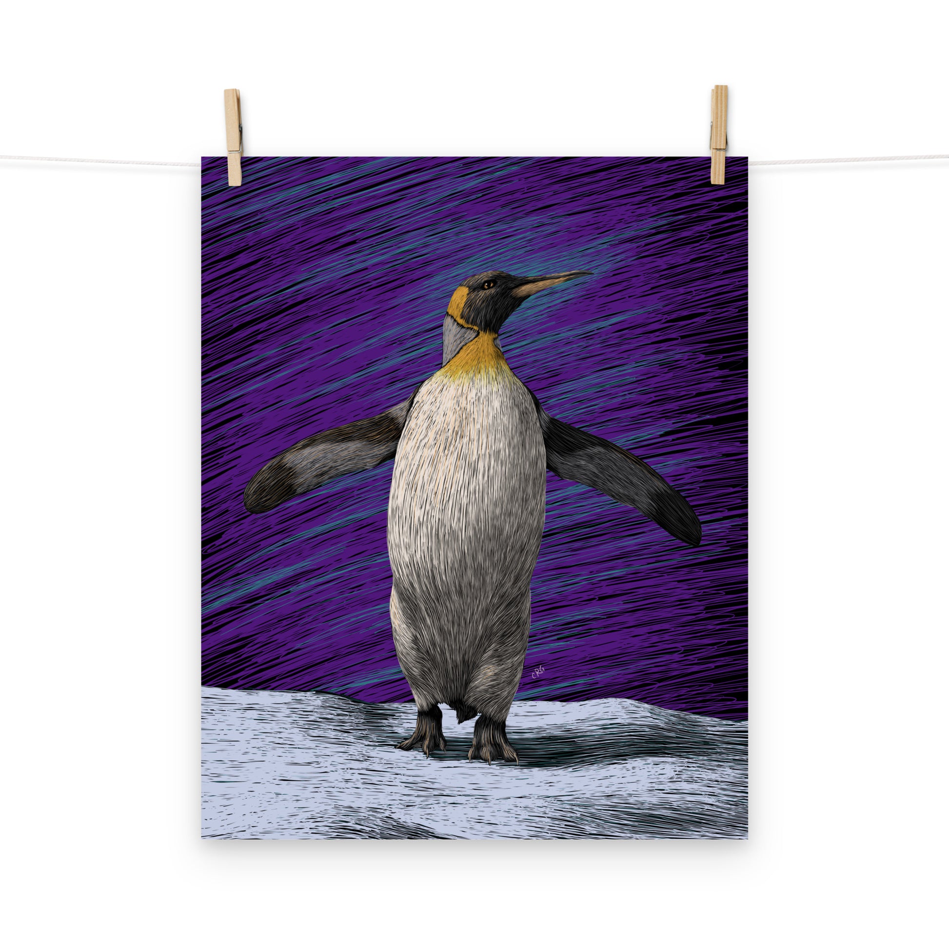 Penguin Art Print