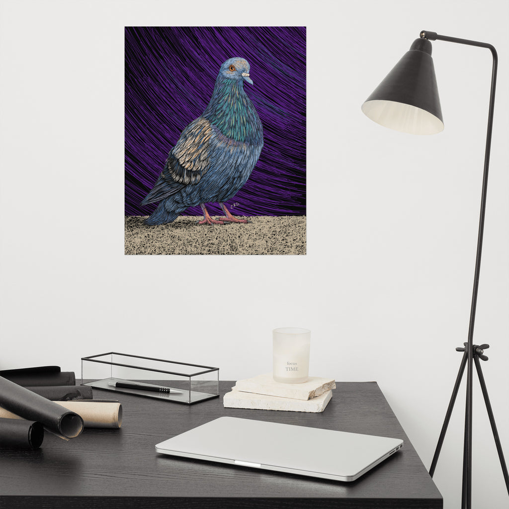 Pigeon Art Print