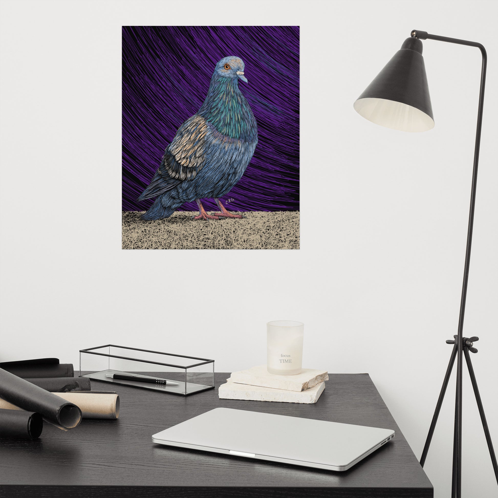 Pigeon Art Print