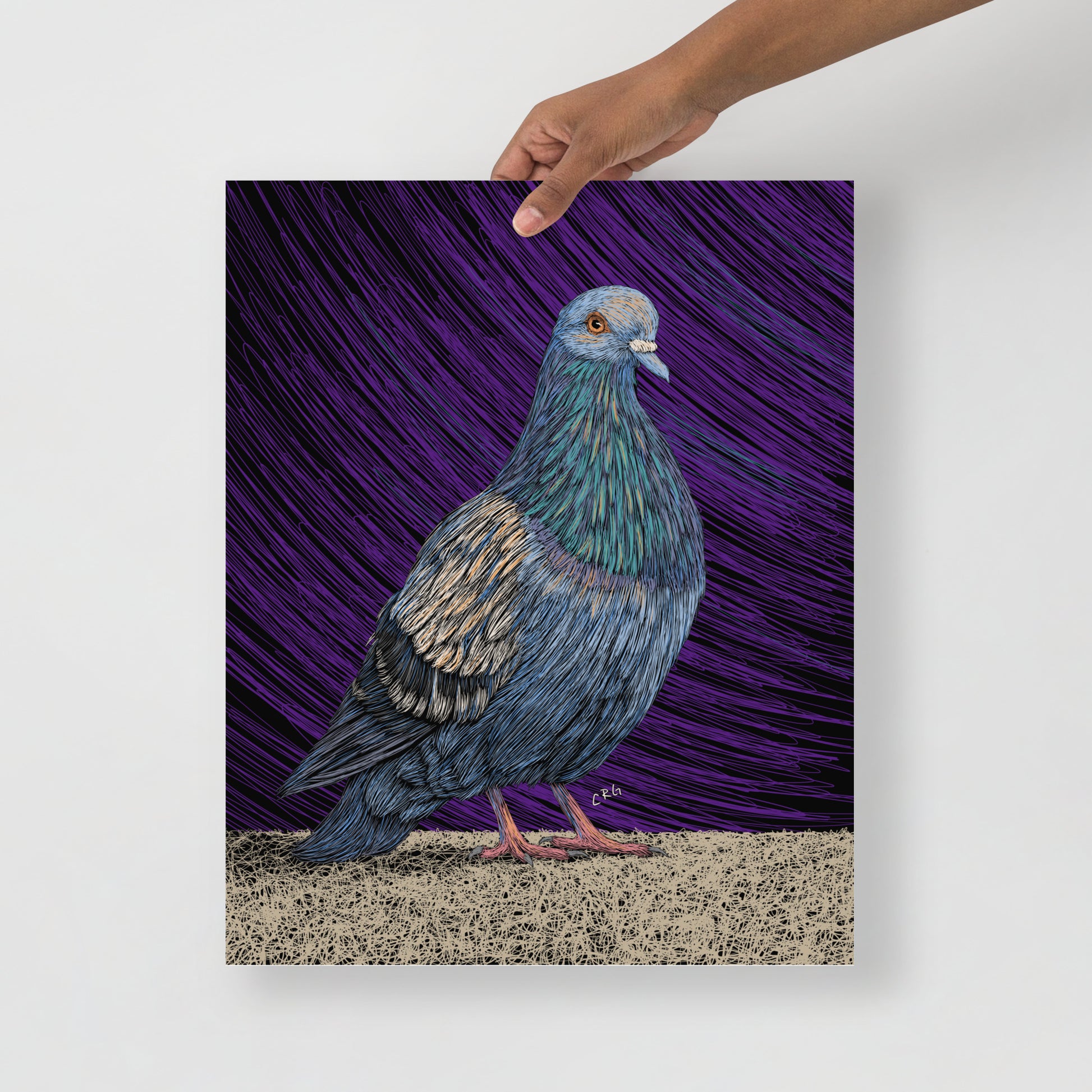 Pigeon Art Print