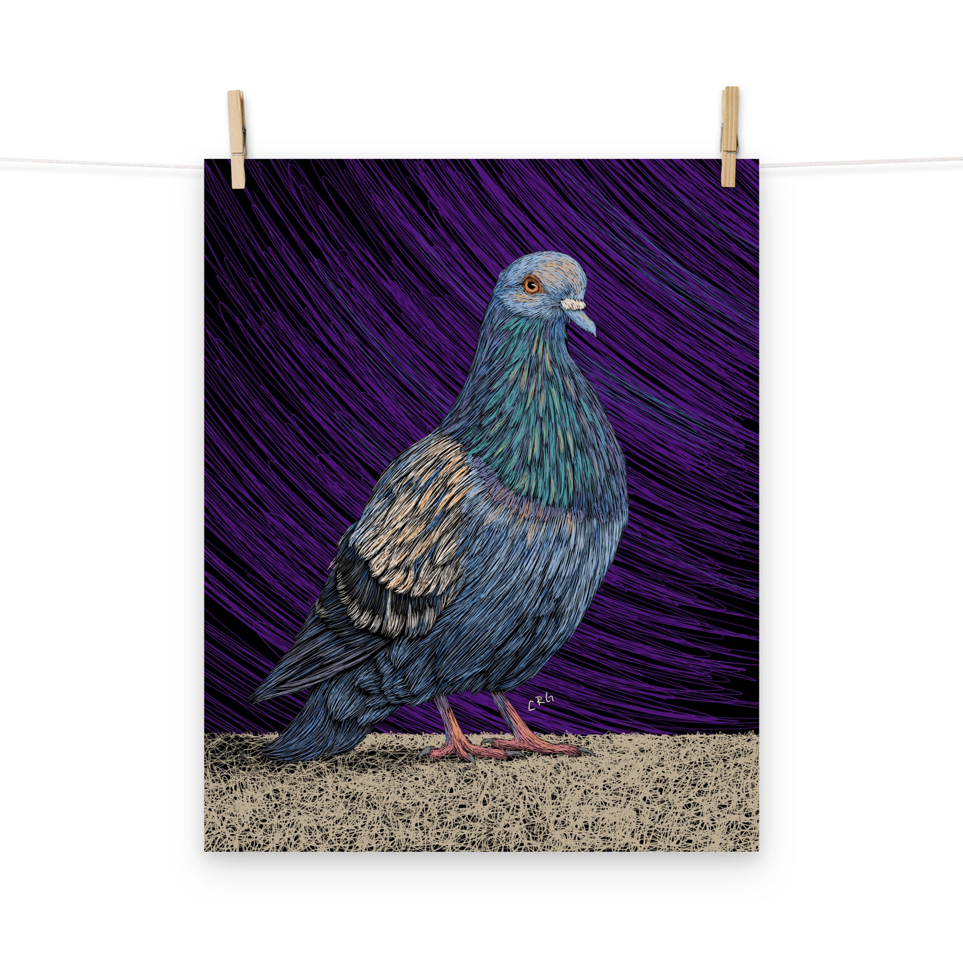 Pigeon Art Print