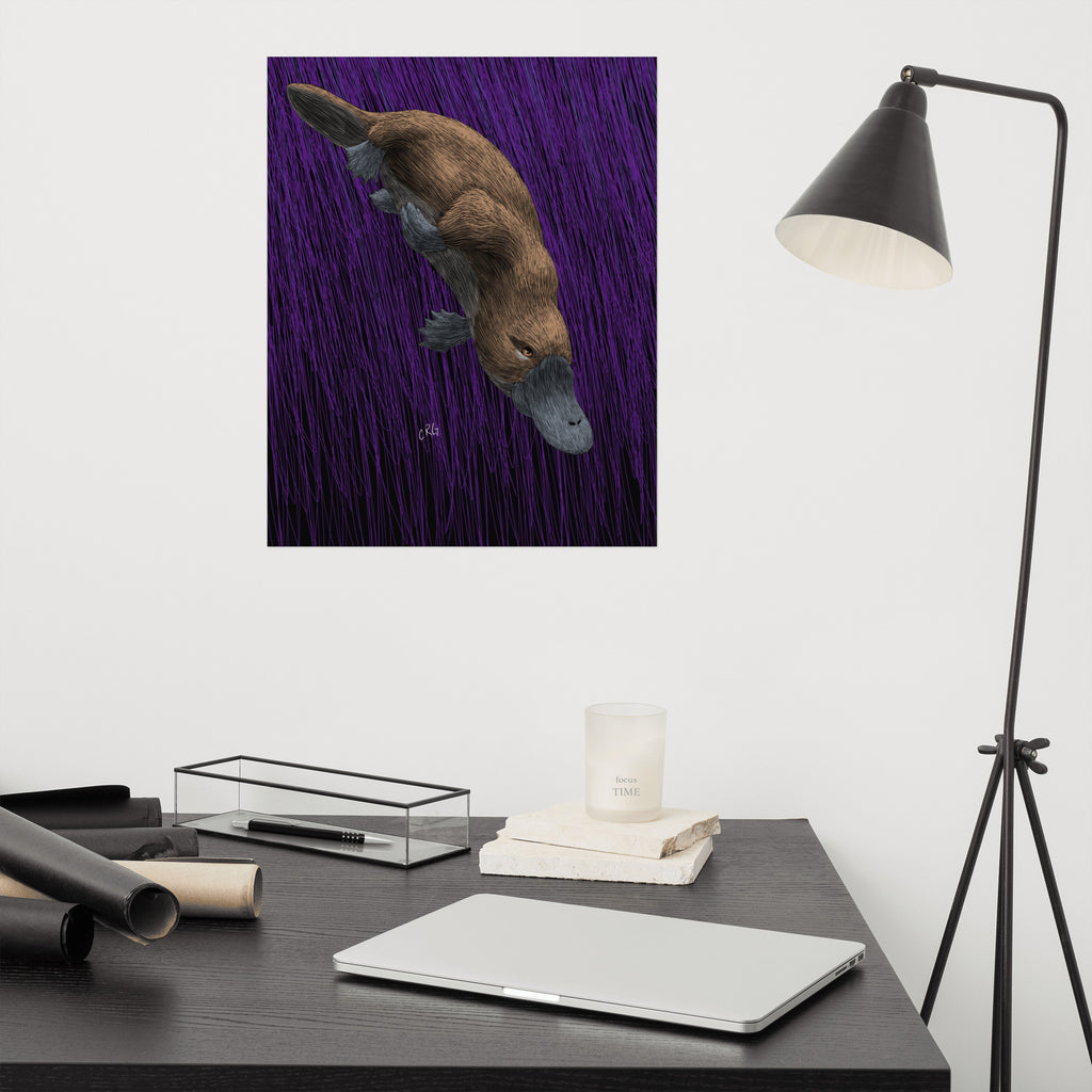 Platypus Art Print