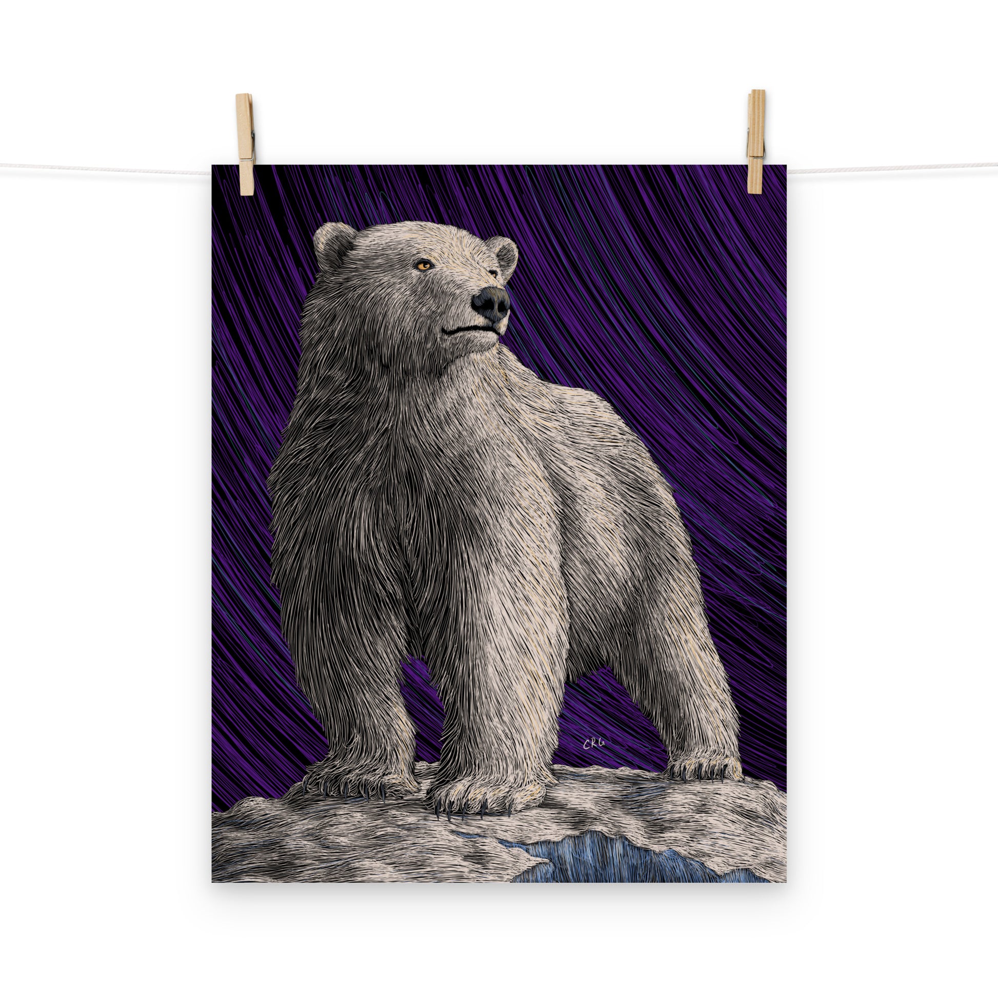 Polar Bear Art Print