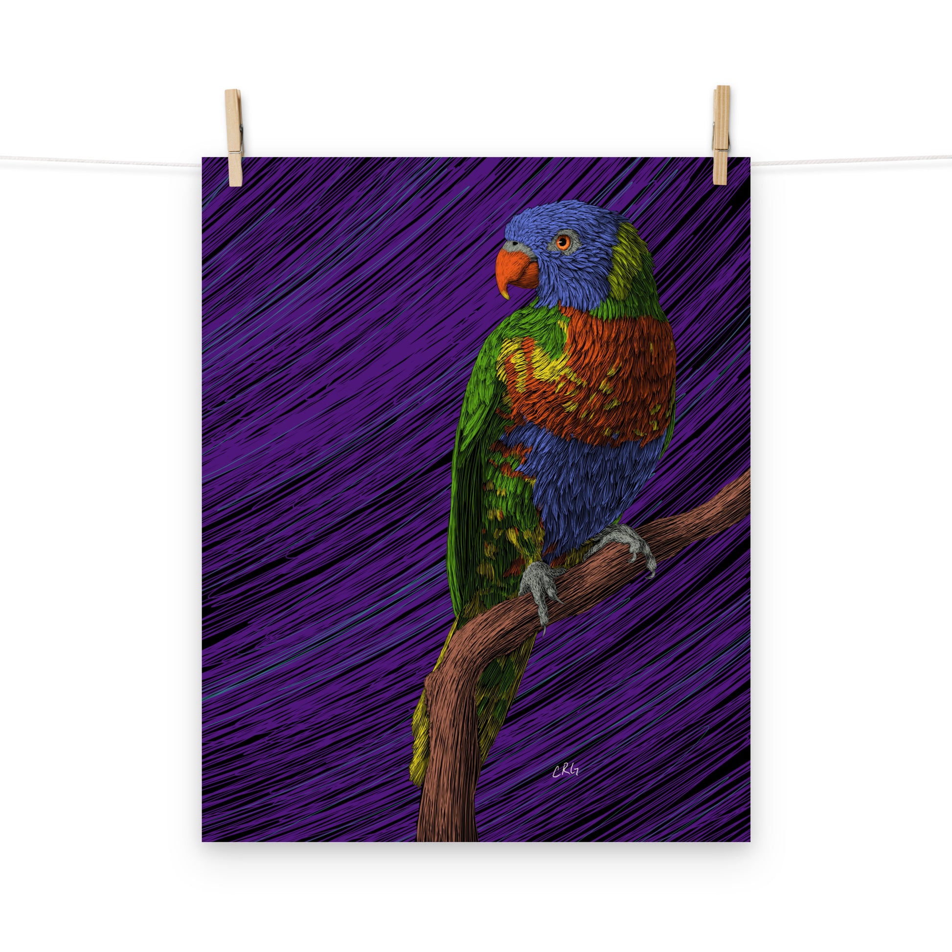 Lorikeet Art Print