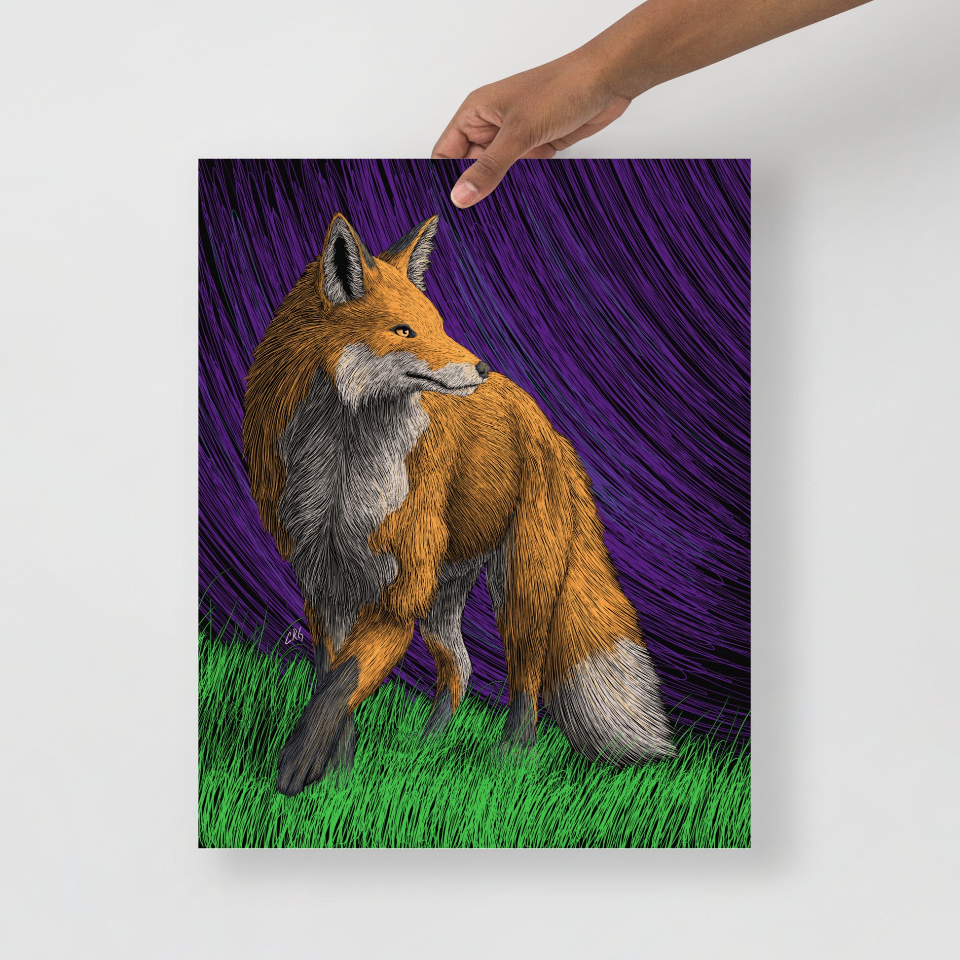 Red Fox Art Print