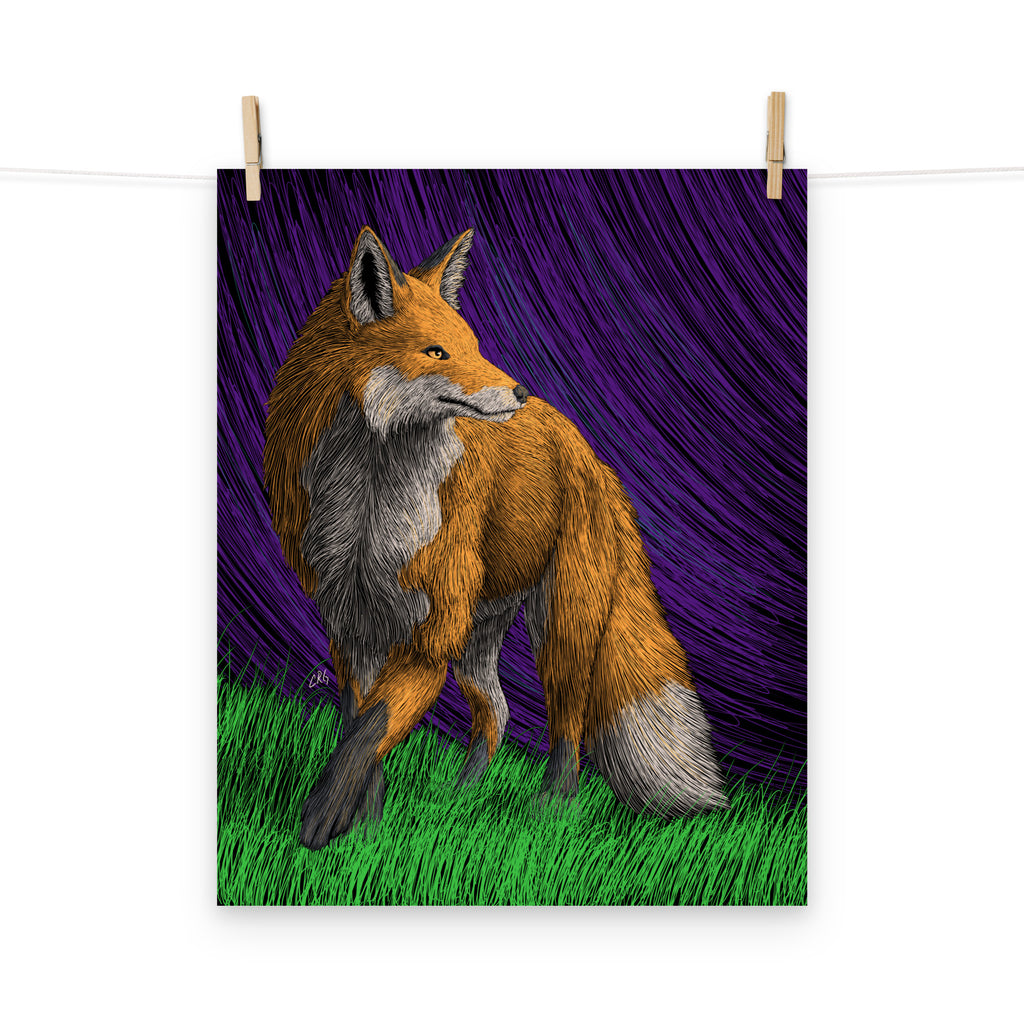 Red Fox Art Print