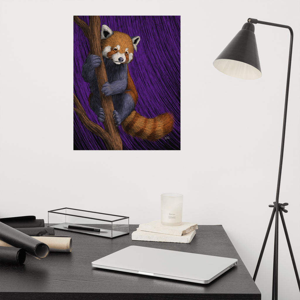 Red Panda Art Print