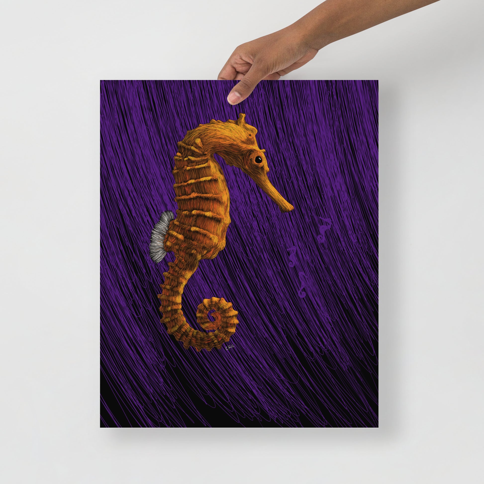 Seahorse Art Print