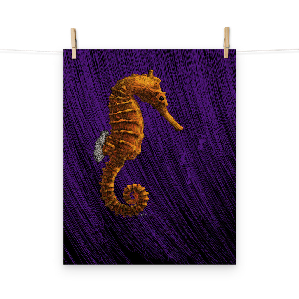 Seahorse Art Print