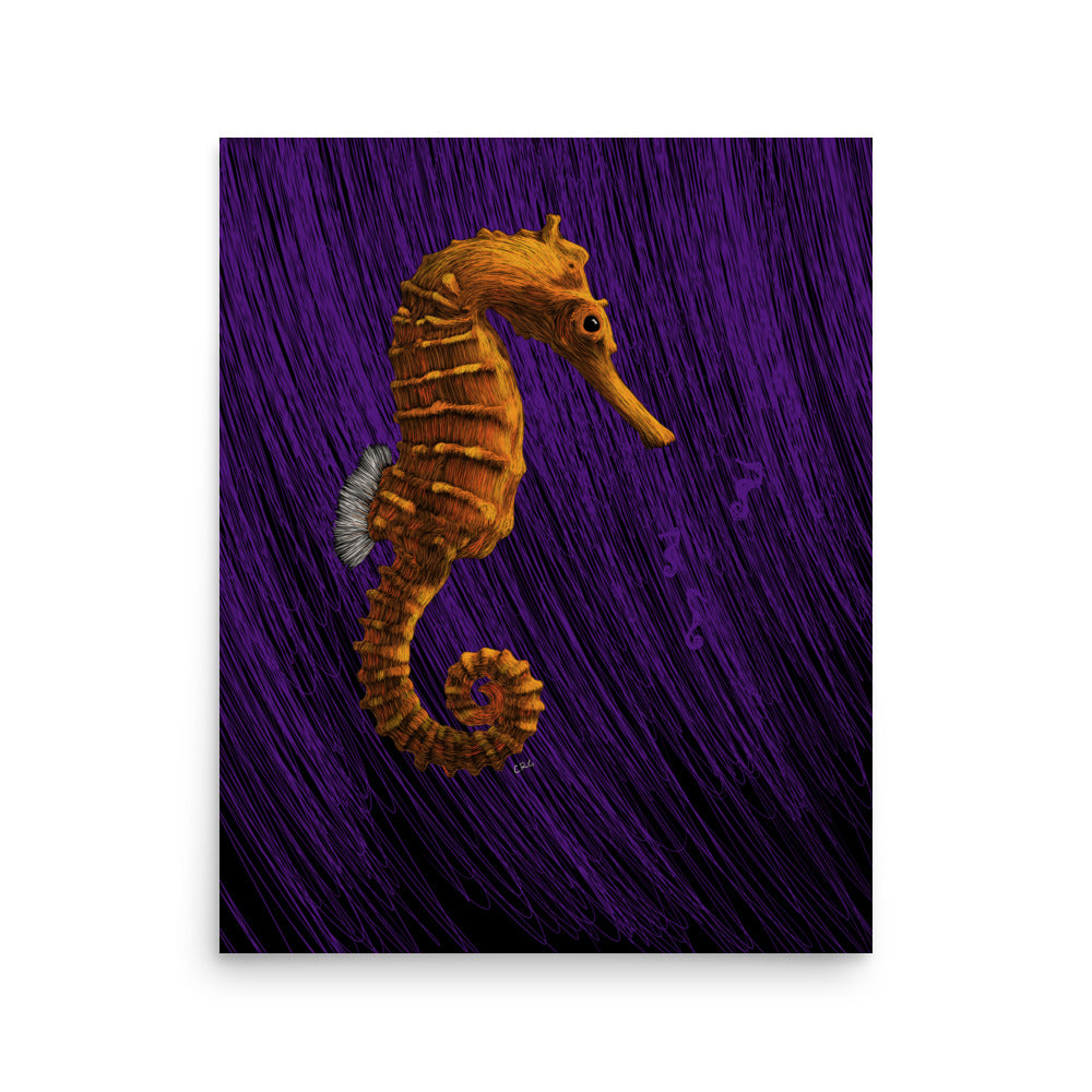 Seahorse Art Print