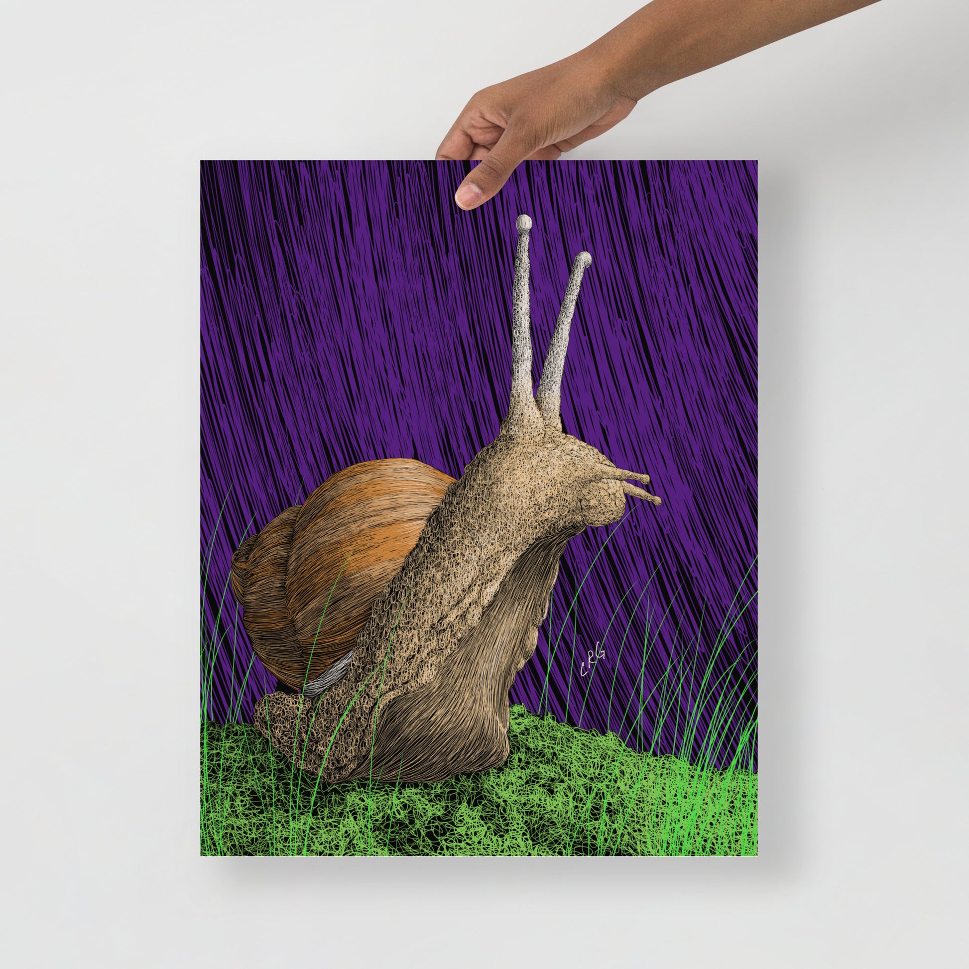 Snail Art Print