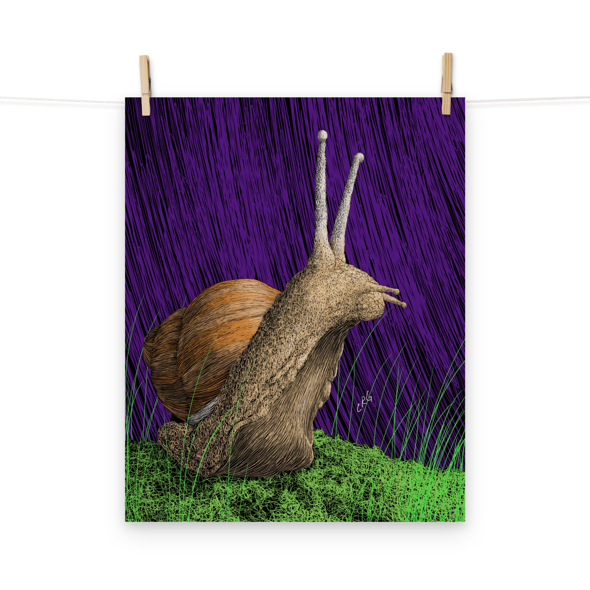 Snail Art Print