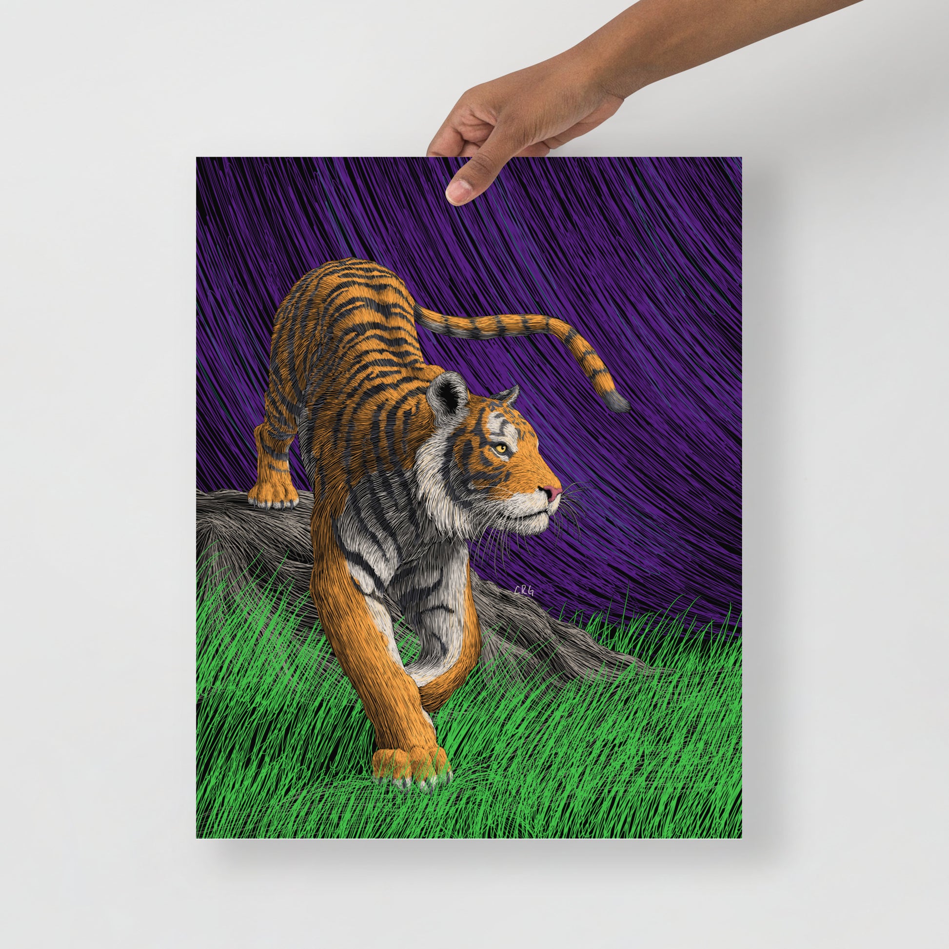 Tiger Art Print