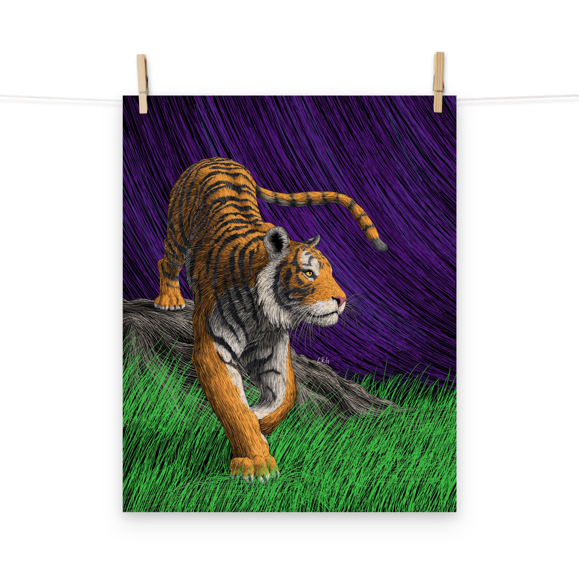 Tiger Art Print