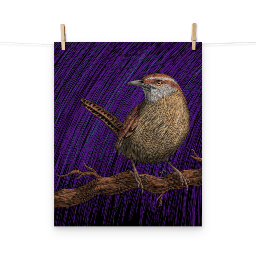 Wren Art Print