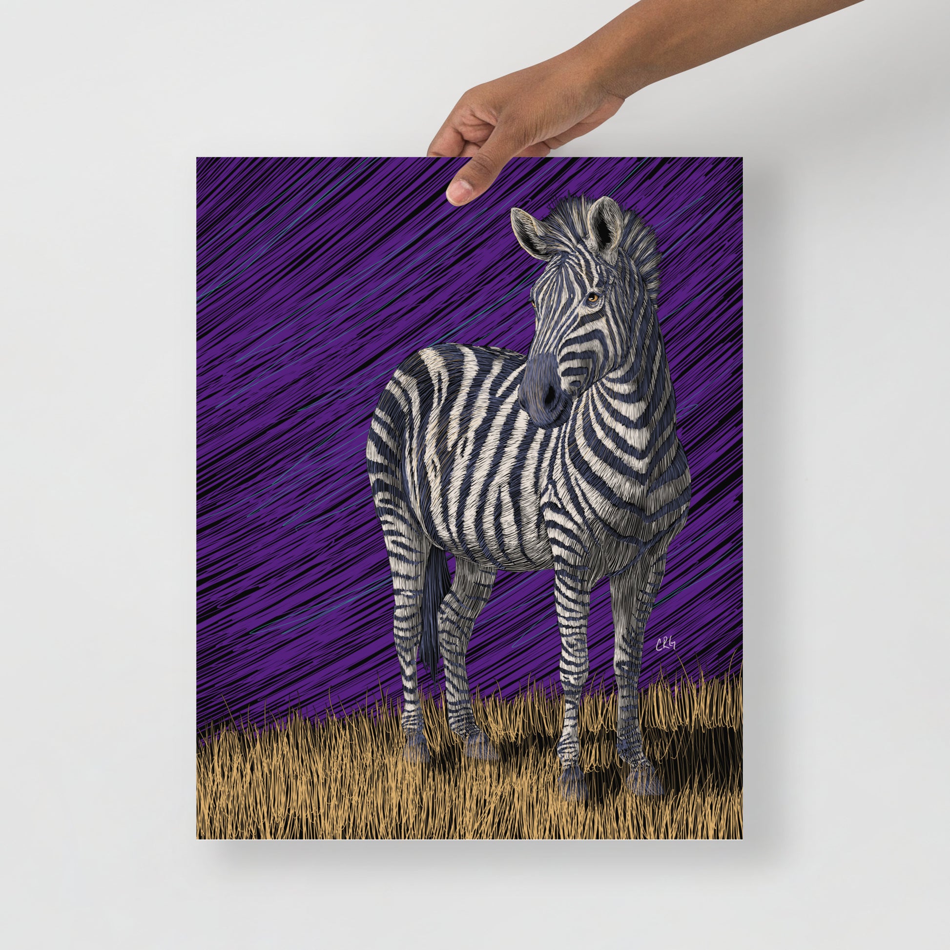 Zebra Art Print