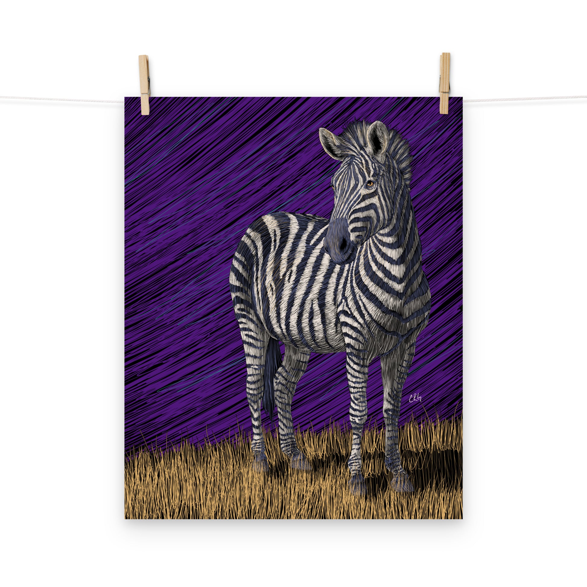 Zebra Art Print