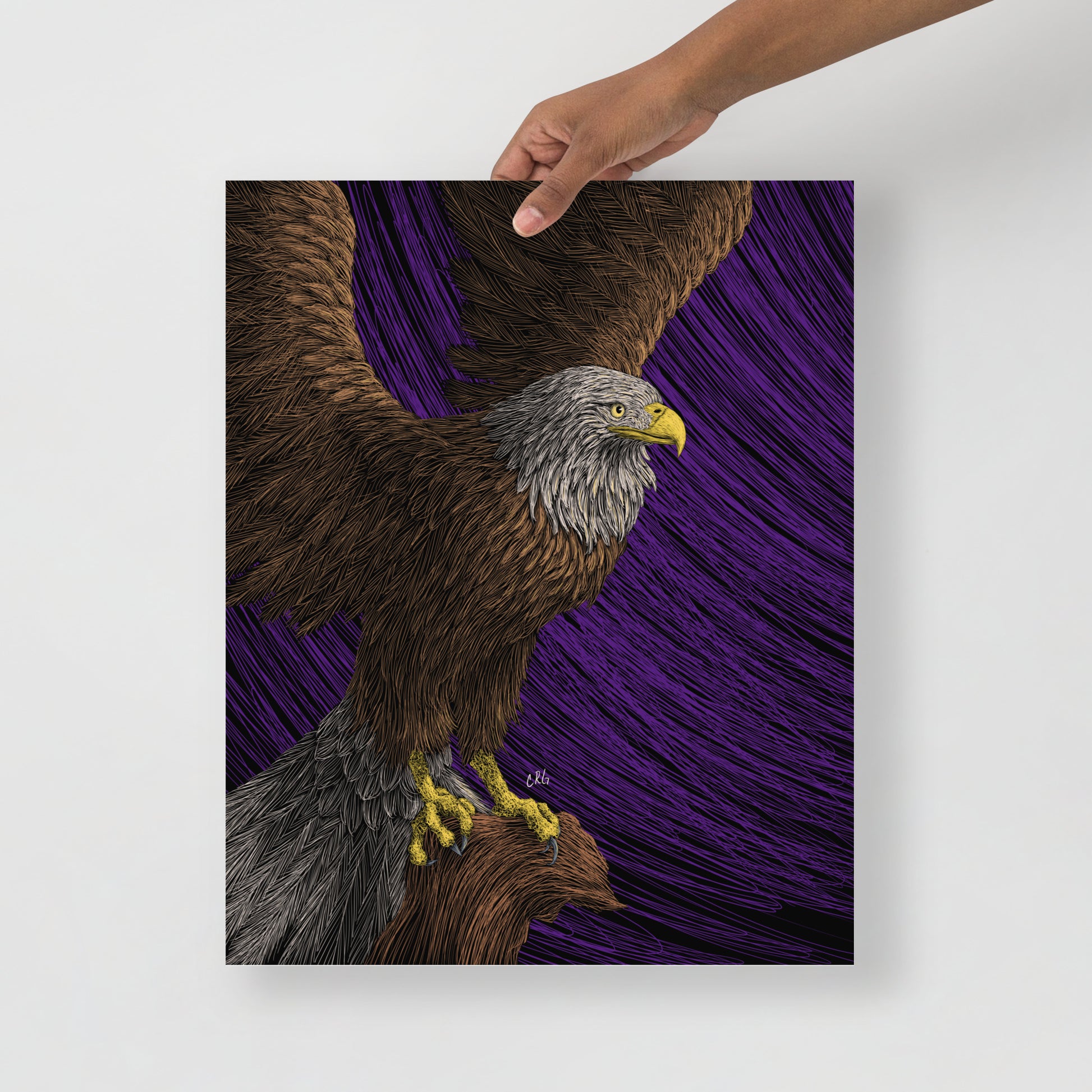 Bald Eagle Art Print