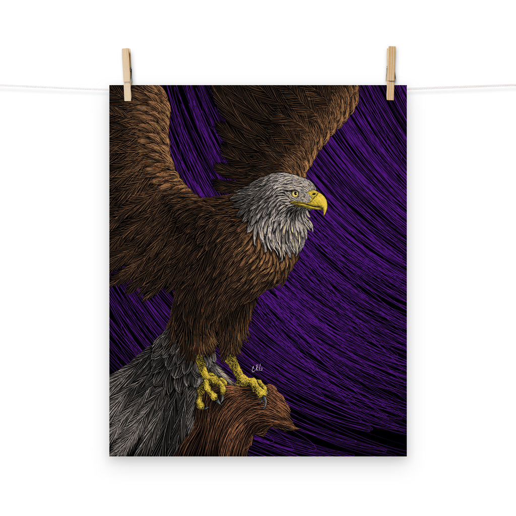 Bald Eagle Art Print