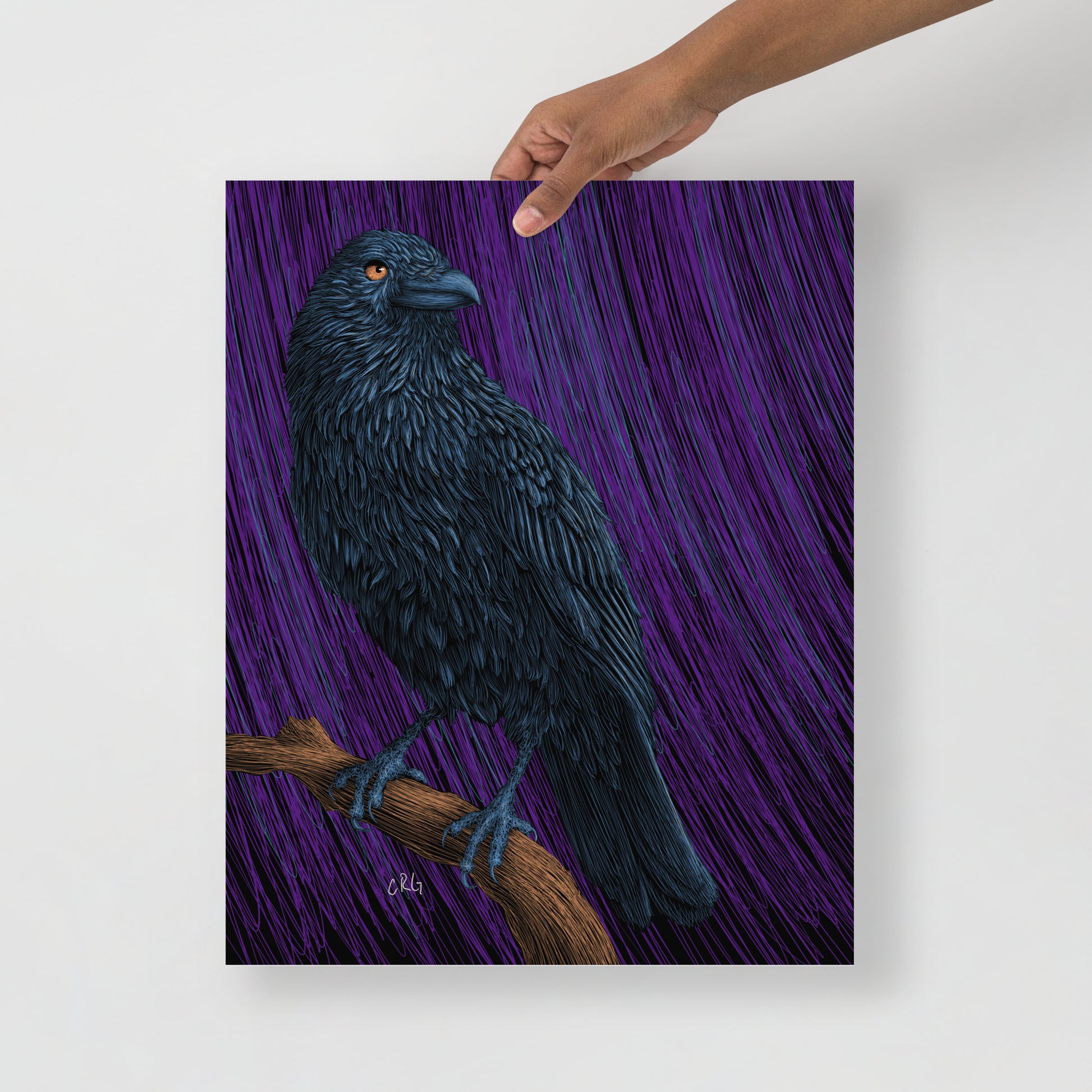 Raven Art Print