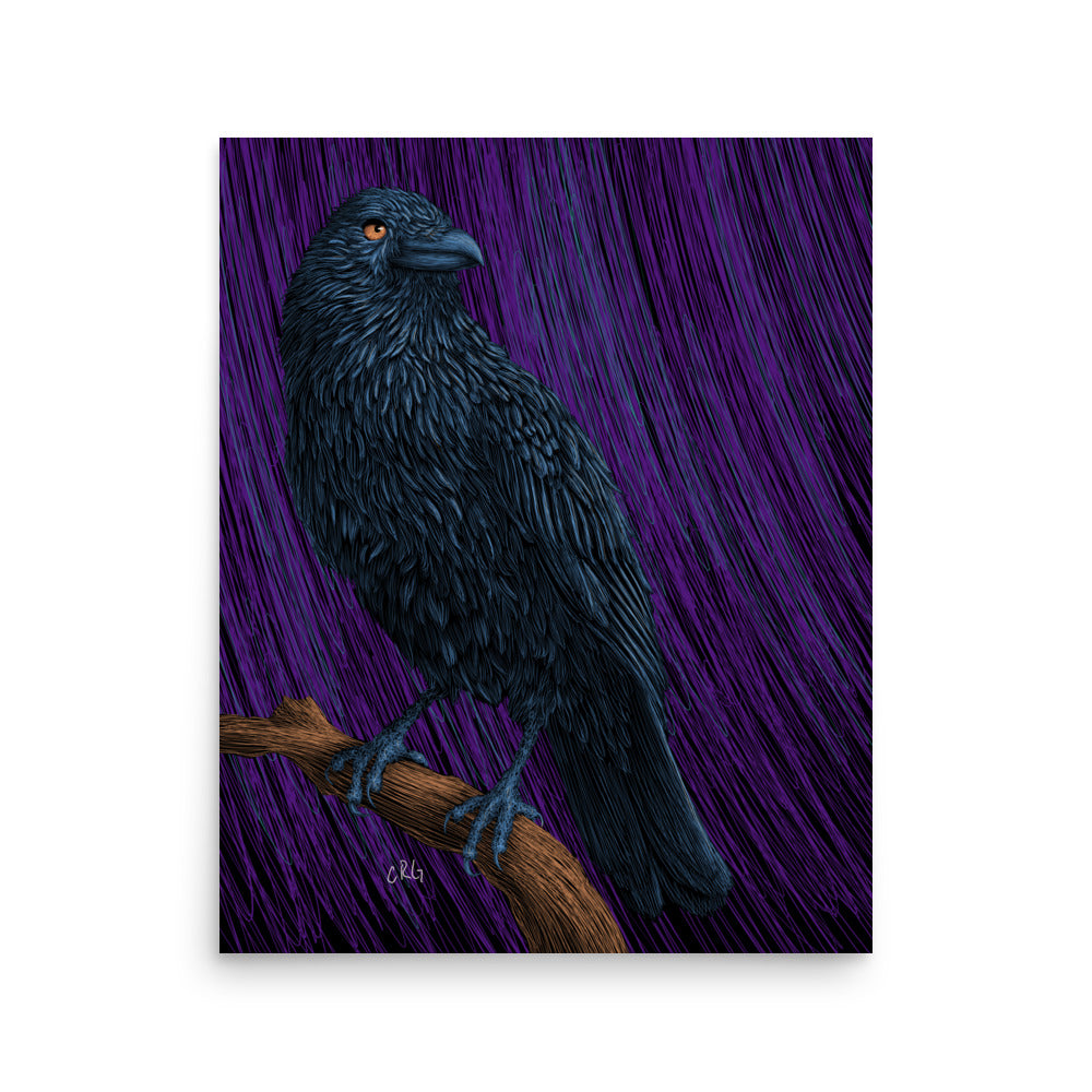 Raven Art Print