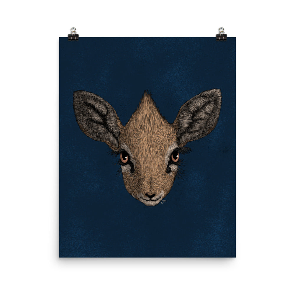 Dik-Dik Art Print