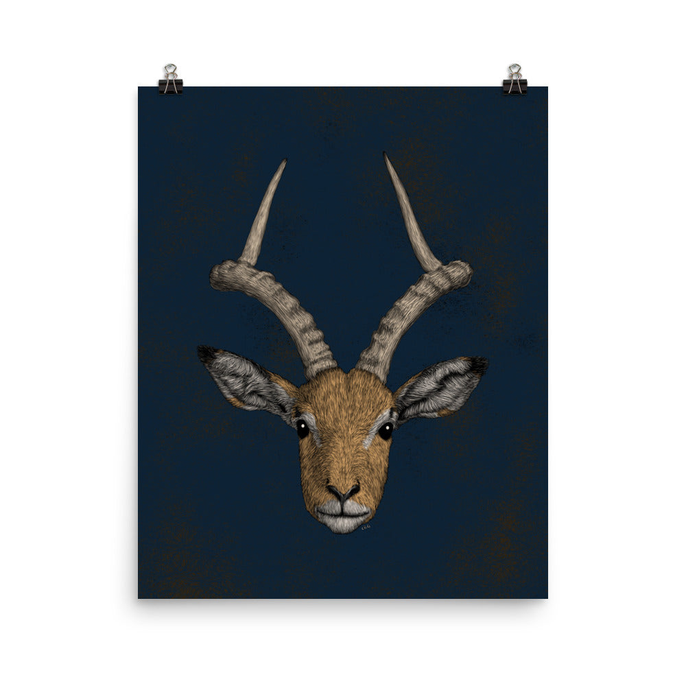 Impala Antelope Art Print