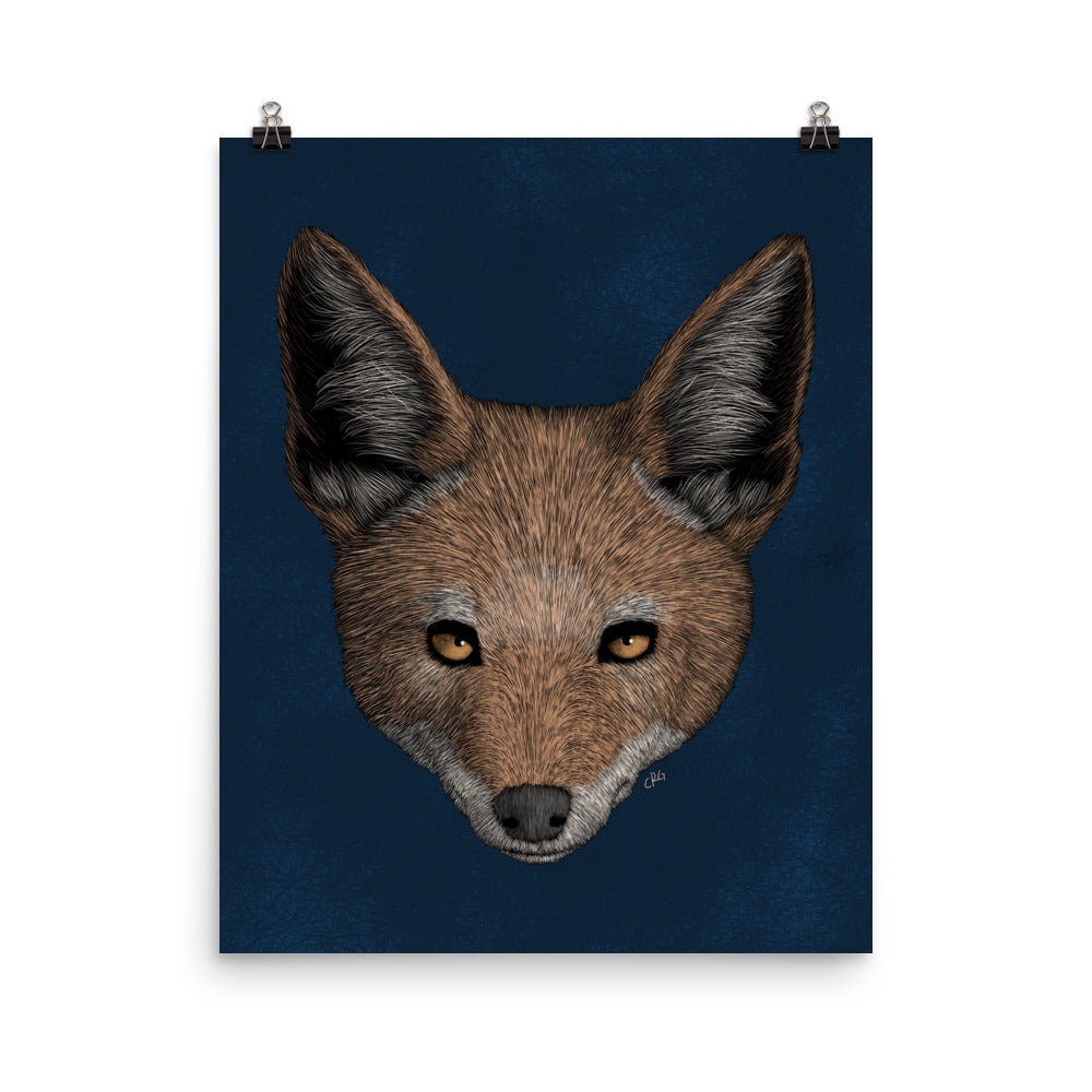 Jackal Art Print