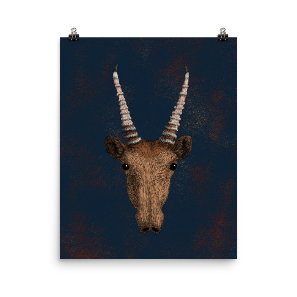 Saiga Antelope Art Print